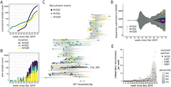 Mutational Hotspot in the SARS-CoV-2 Spike Protein N-Terminal