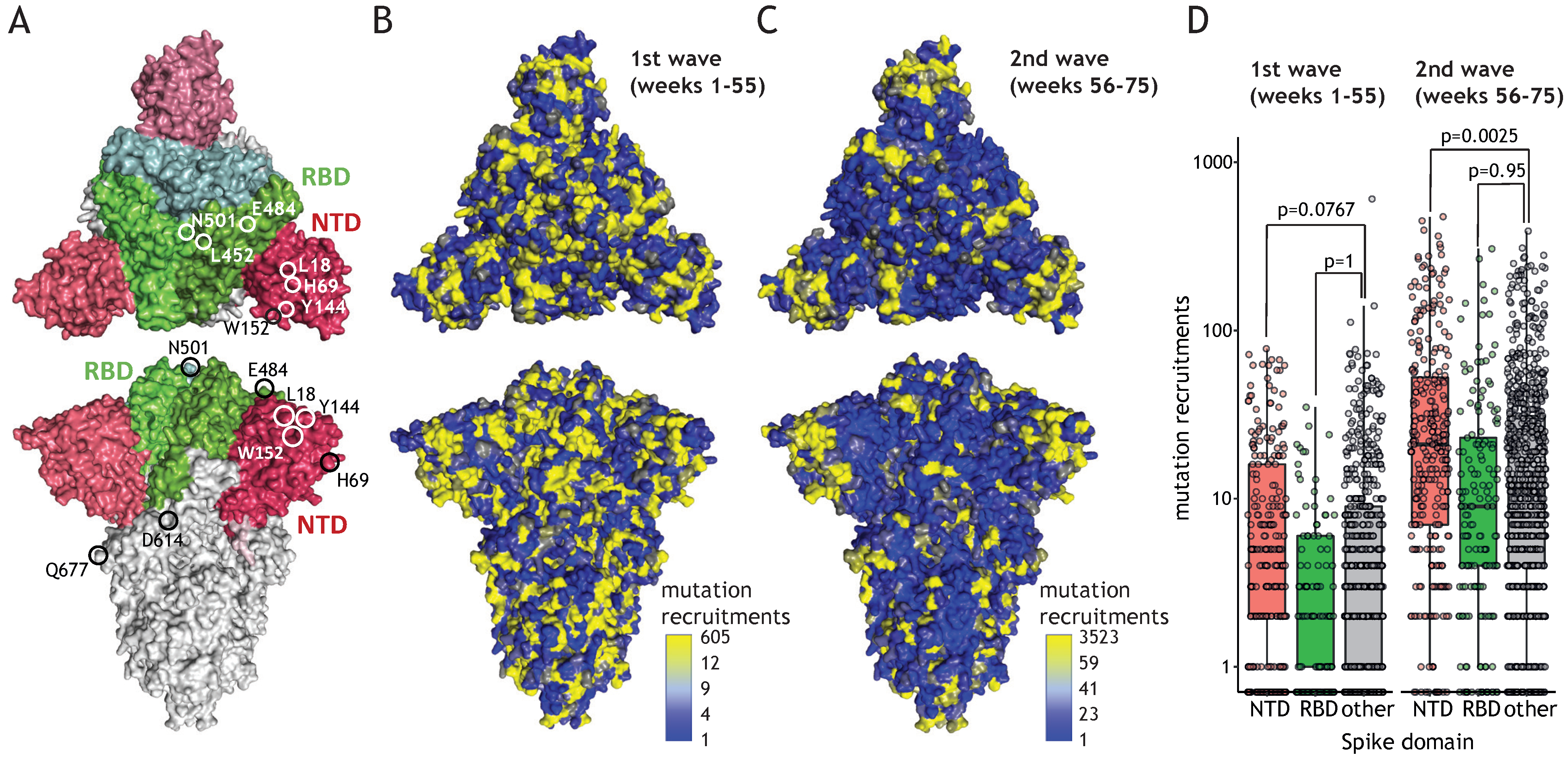 Viruses 13 02114 g004