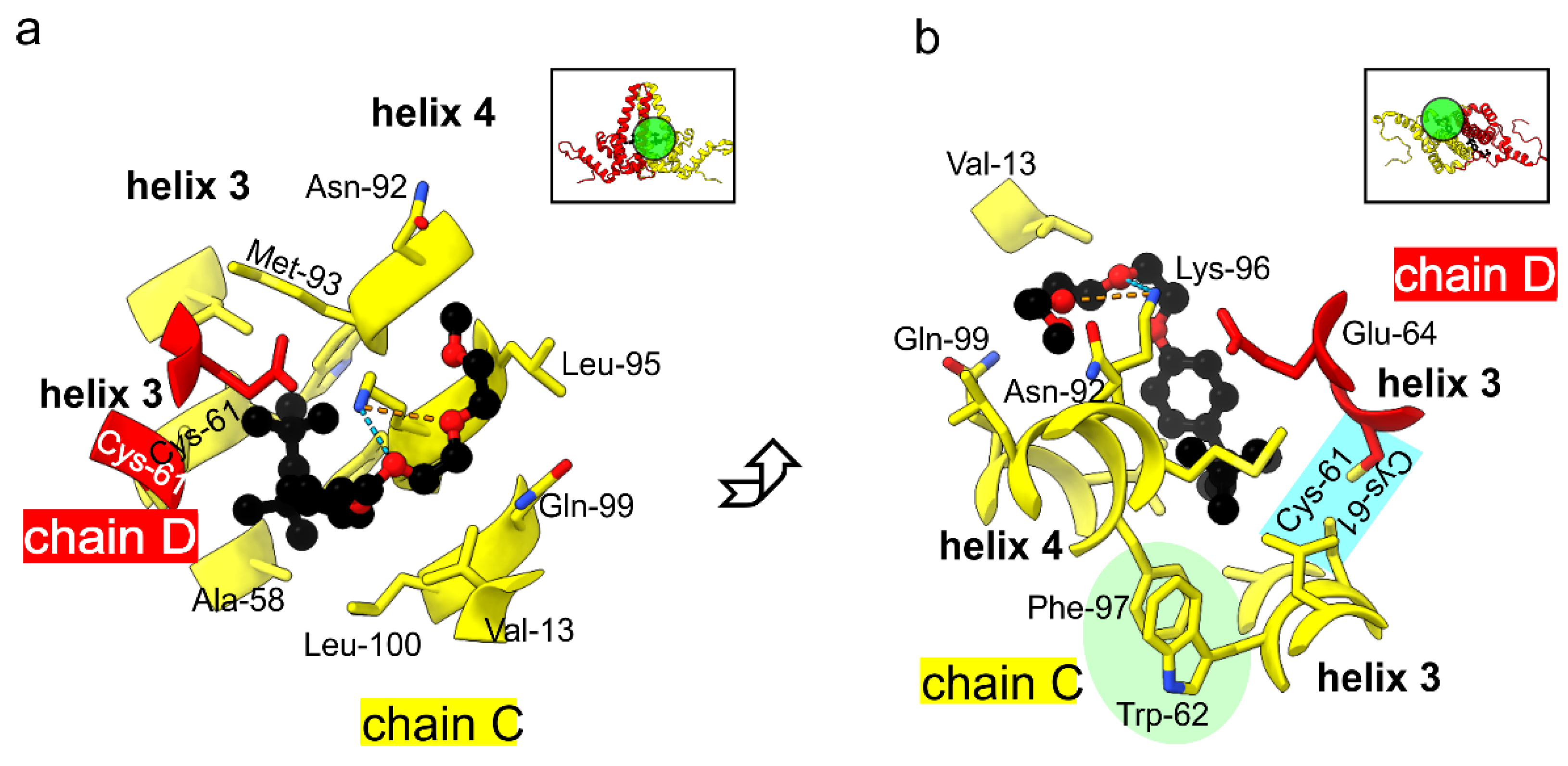 Viruses 13 02115 g004
