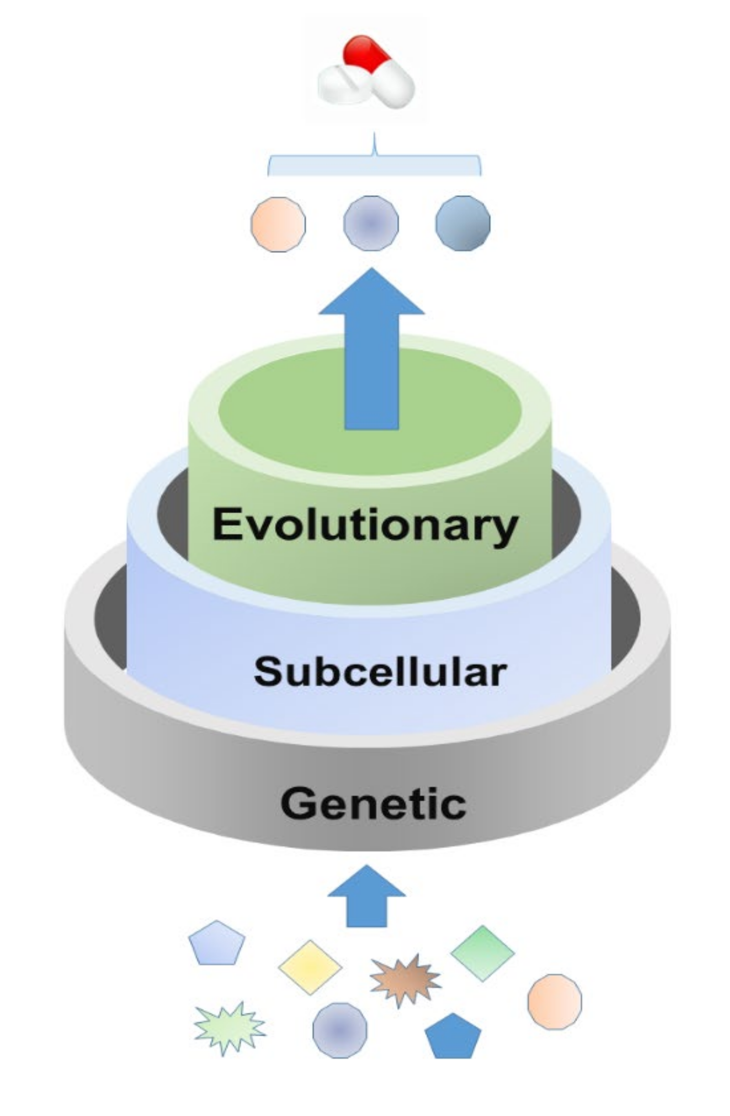 Viruses 13 02117 g002 550