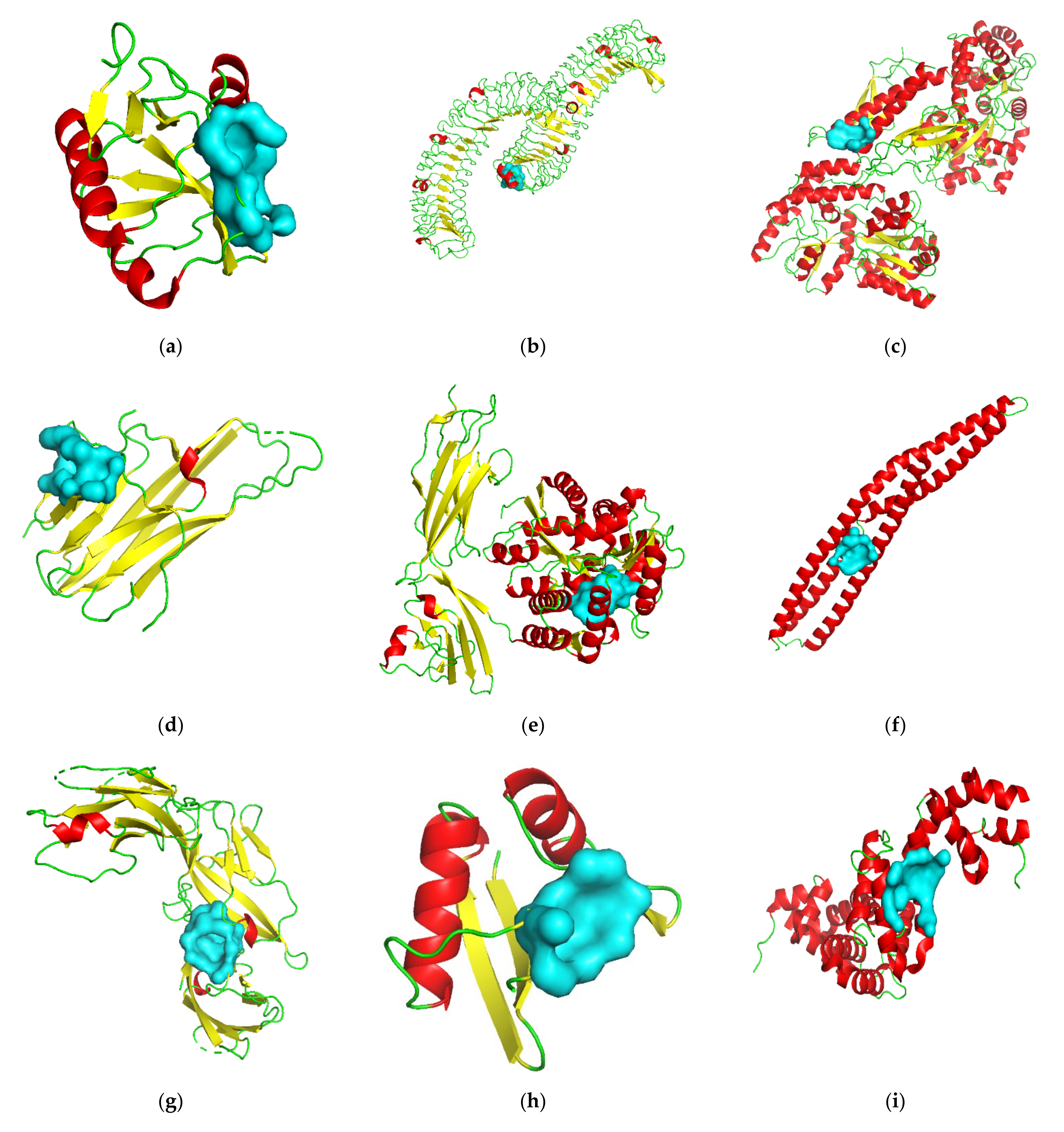 Viruses 13 02117 g003a 550