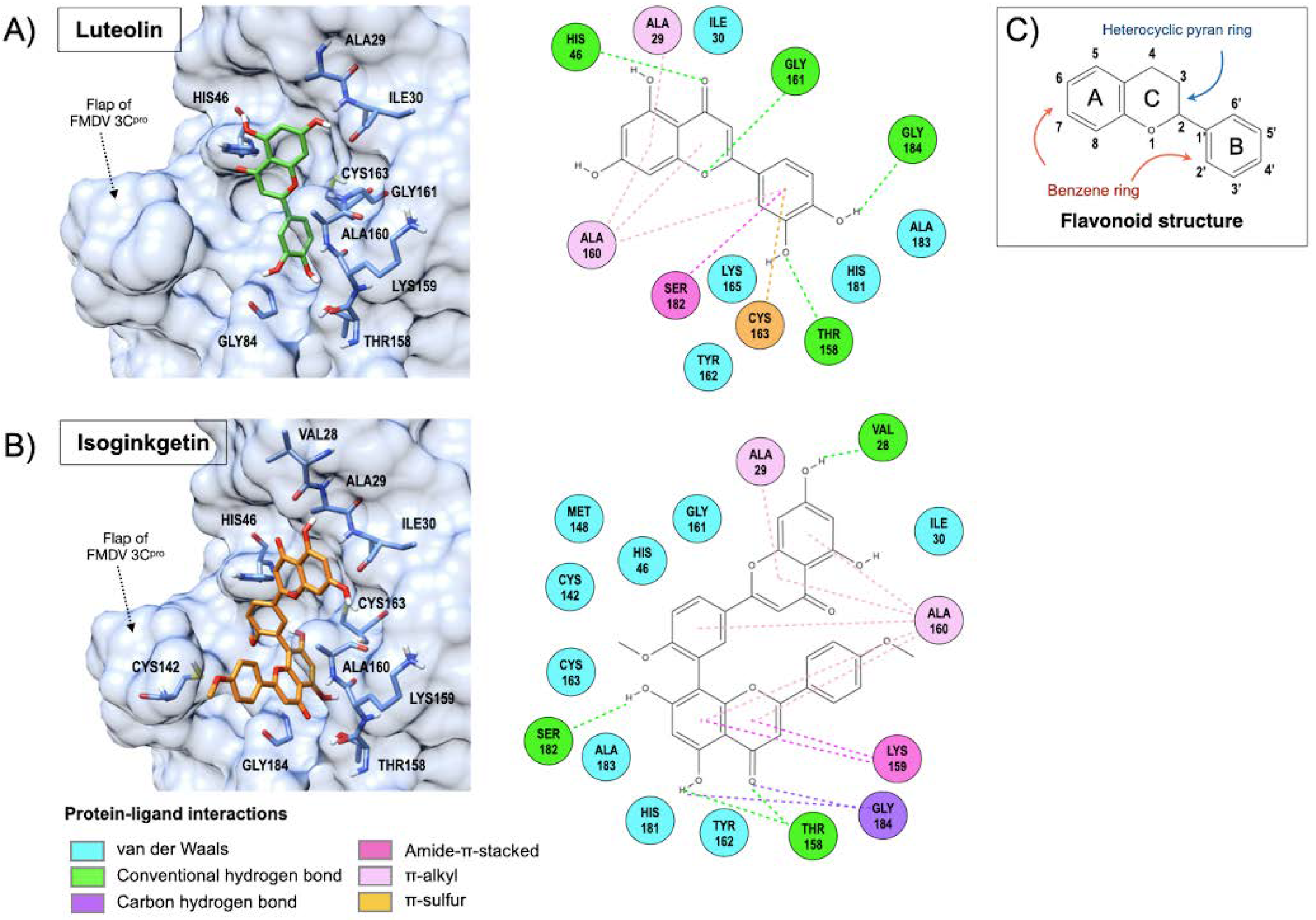 Viruses 13 02118 g005 Viruses 13 02118 g005