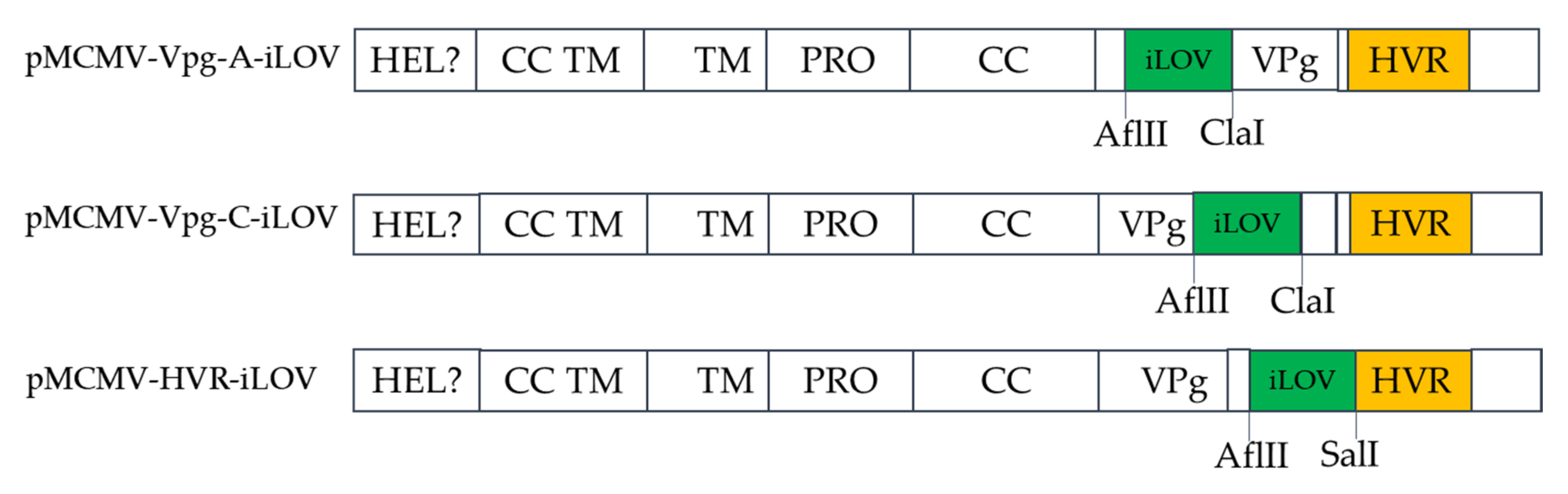 Viruses 13 02119 g005