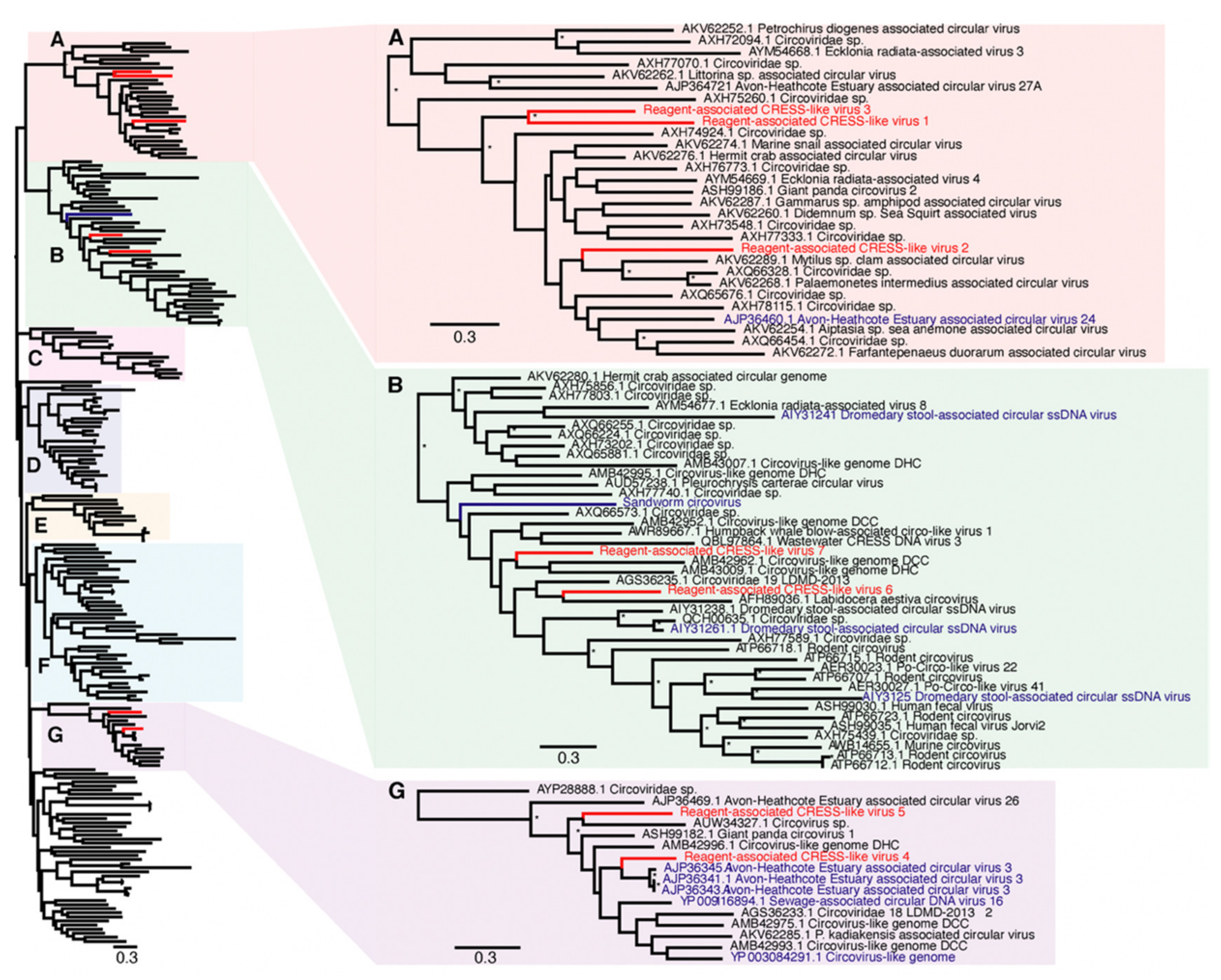 Viruses 13 02122 g002 Viruses 13 02122 g002