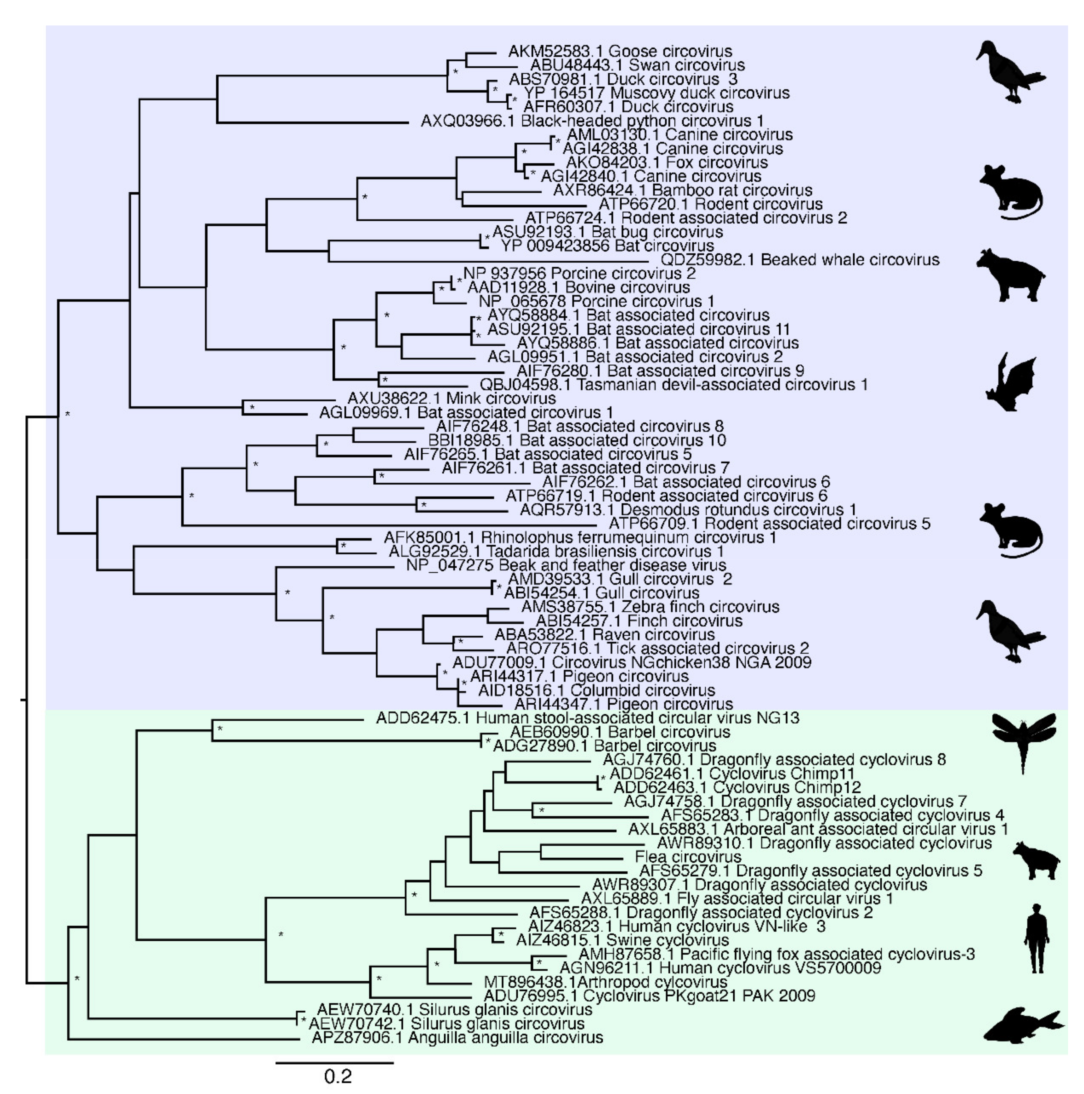 Viruses 13 02122 g003 Viruses 13 02122 g003