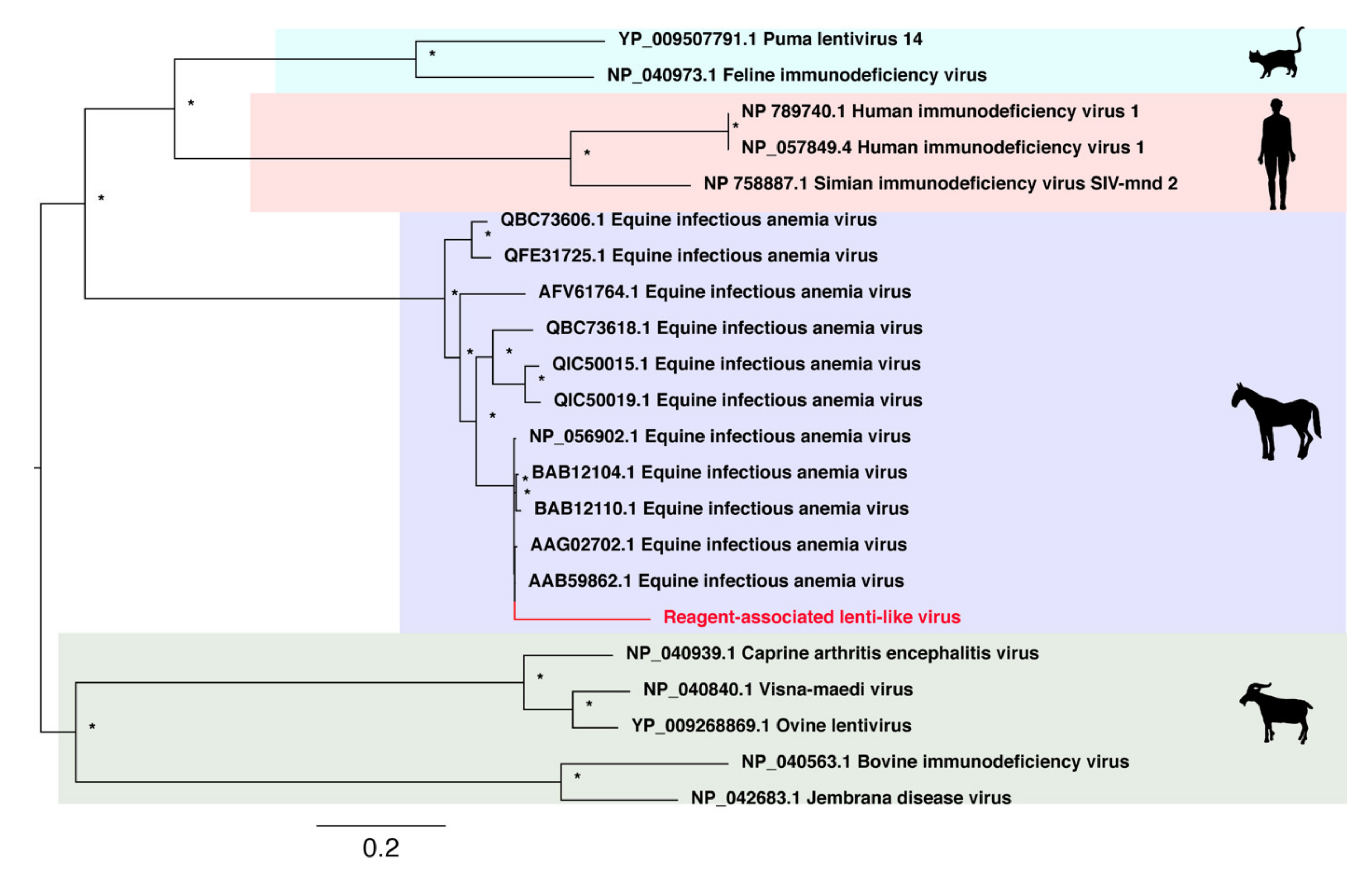 Viruses 13 02122 g004 Viruses 13 02122 g004