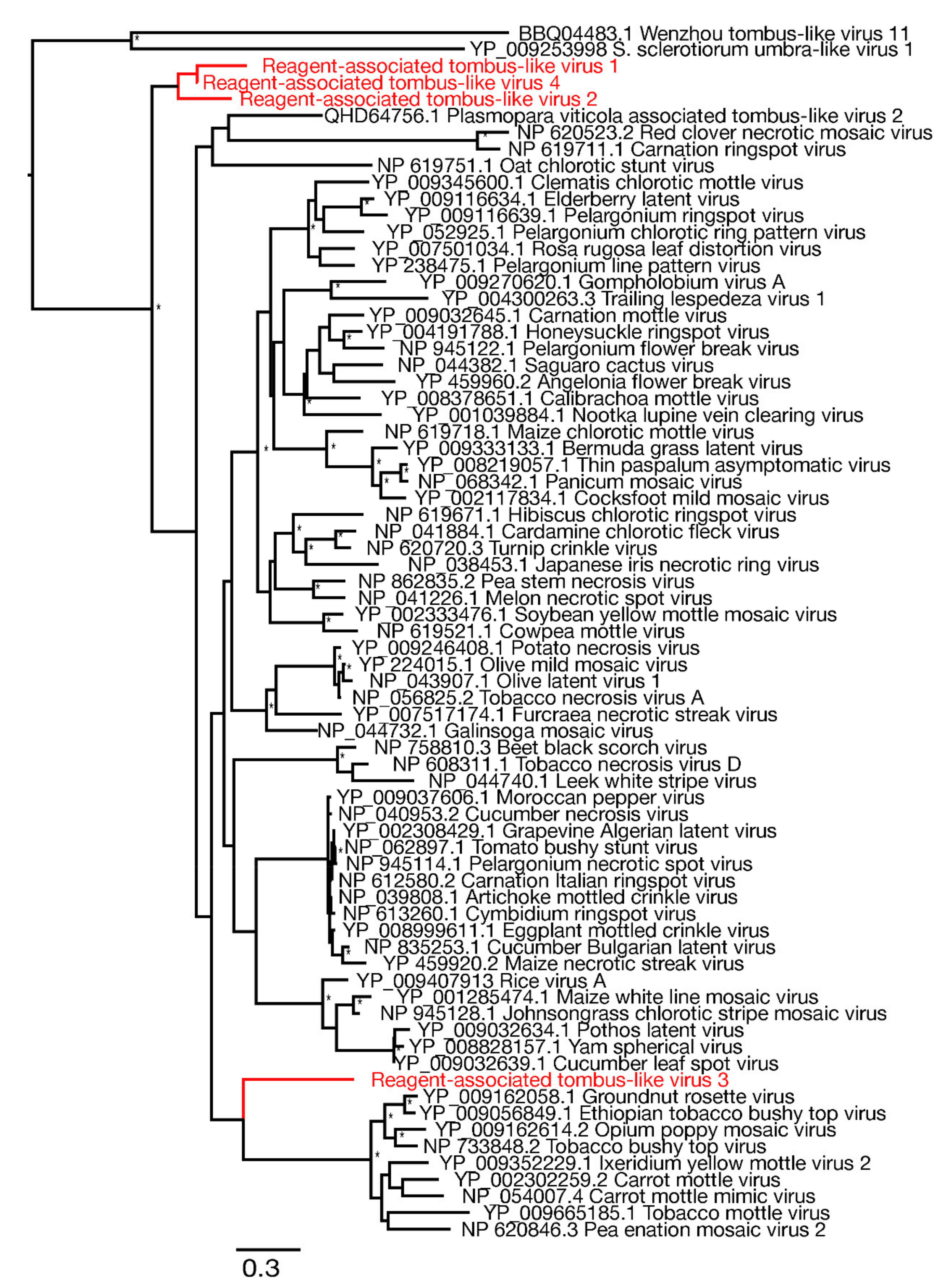 Viruses 13 02122 g005 Viruses 13 02122 g005