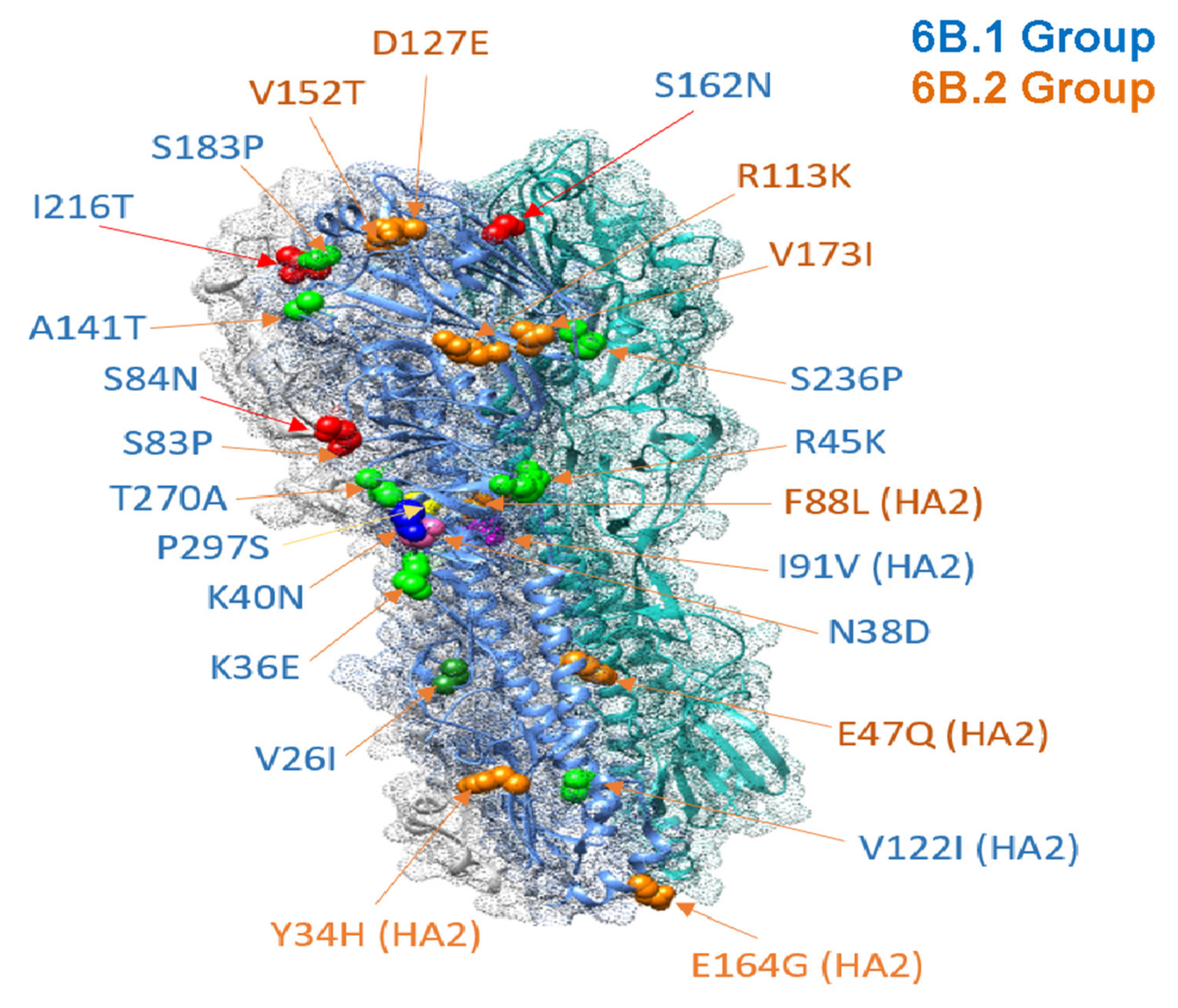 Viruses 13 02125 g003