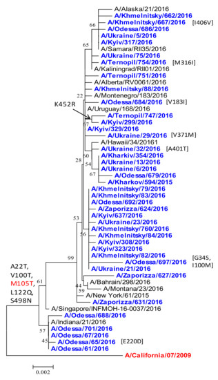 Genotypic Variants of Pandemic H1N1 Influenza A Viruses Isolated from ...