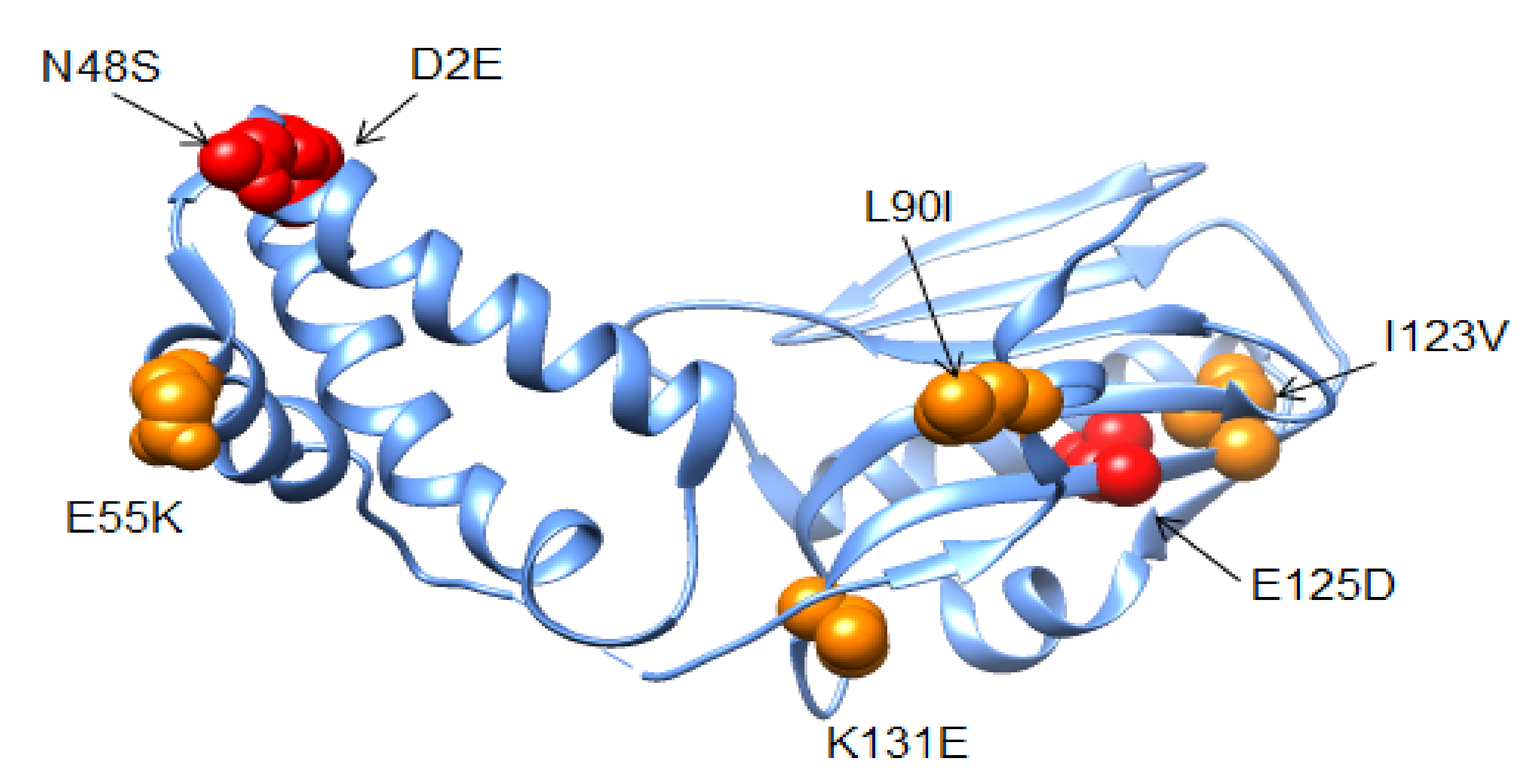Viruses 13 02125 g008