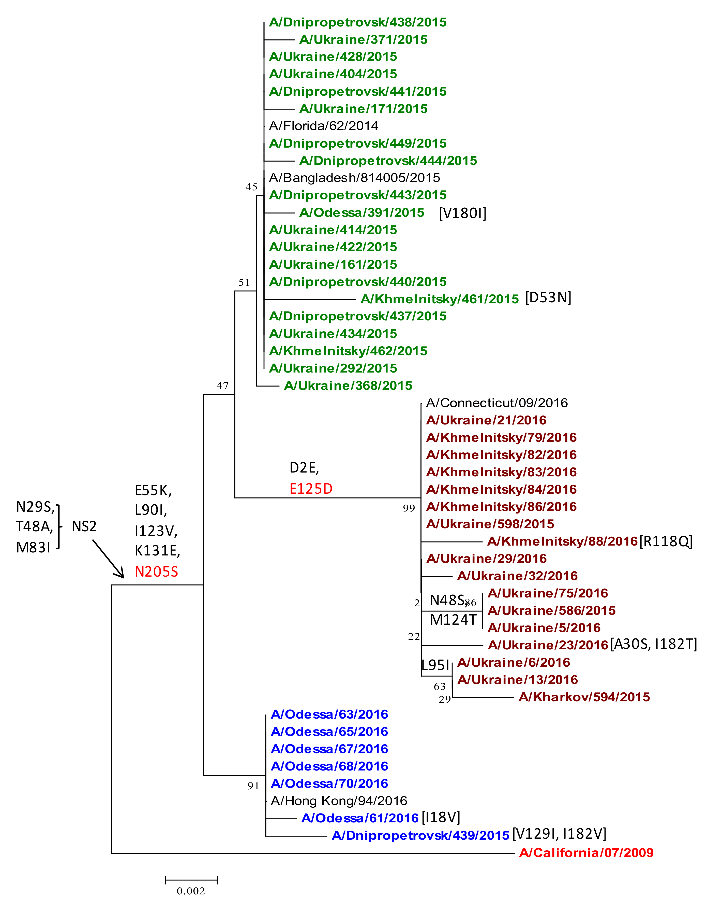 Viruses 13 02125 g009