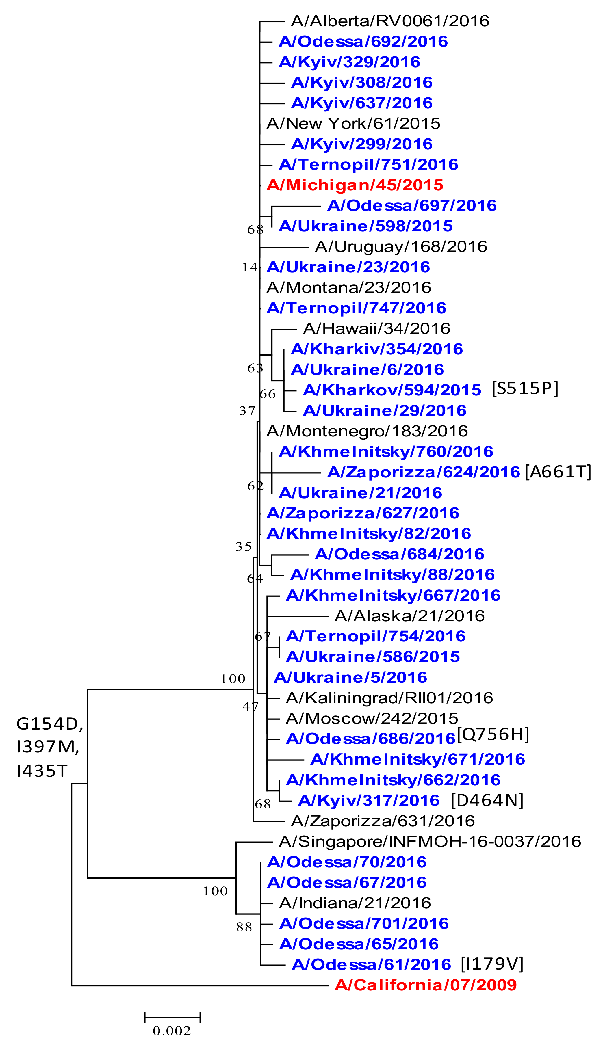 Viruses 13 02125 g012