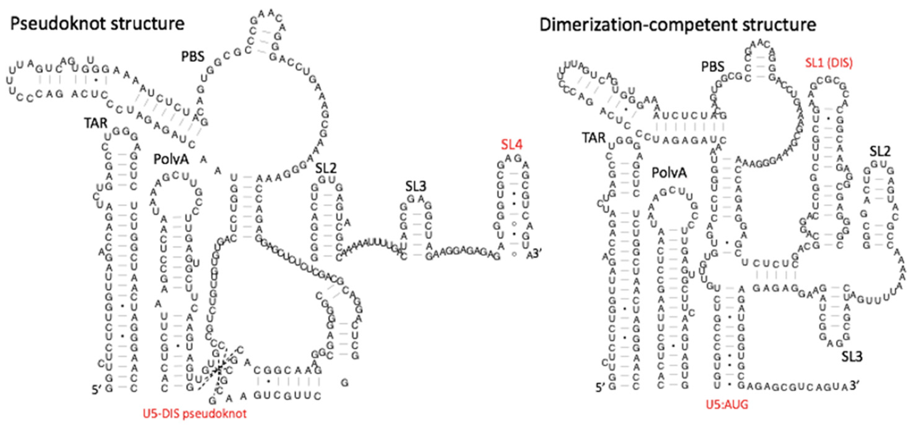 Viruses 13 02130 g001