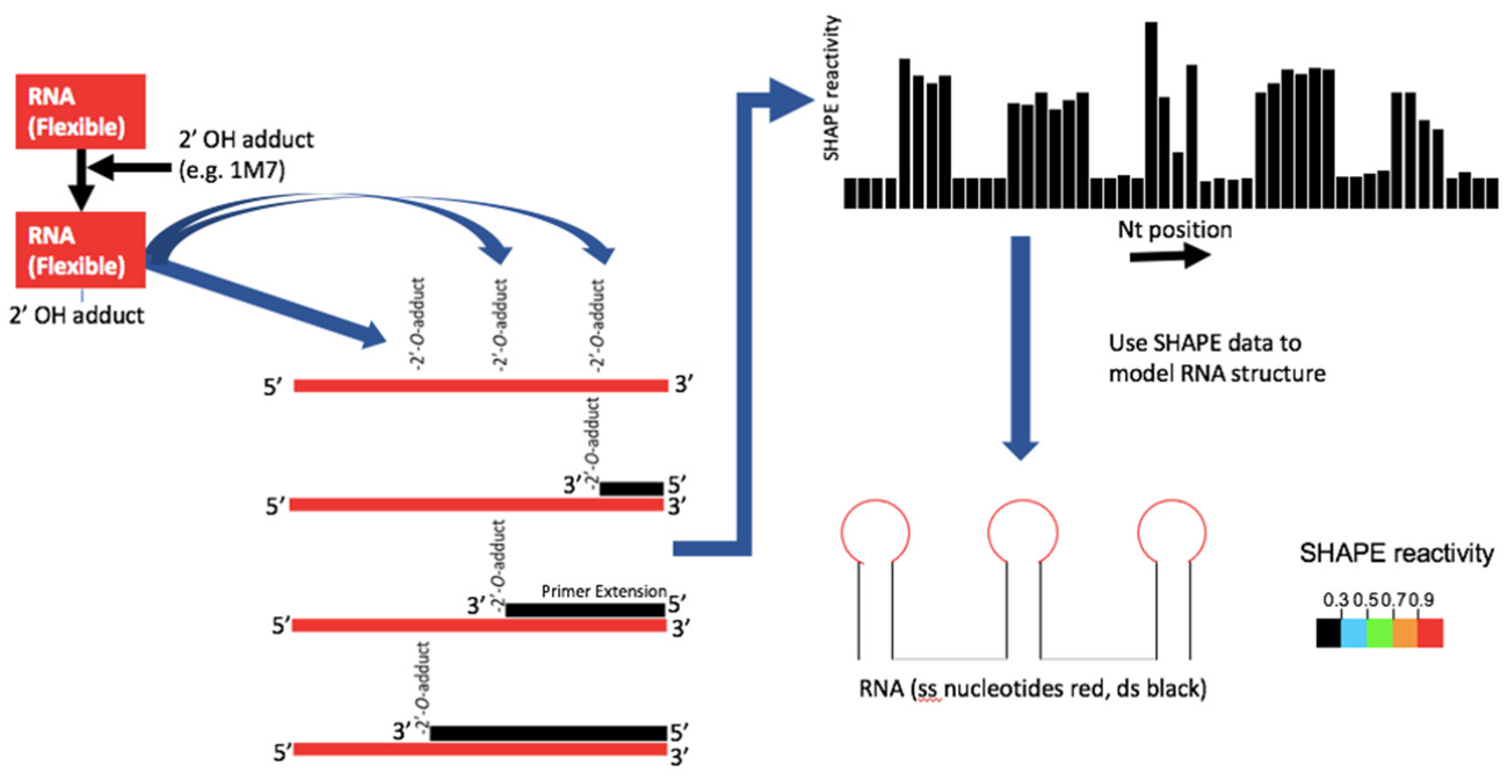 Viruses 13 02130 g002