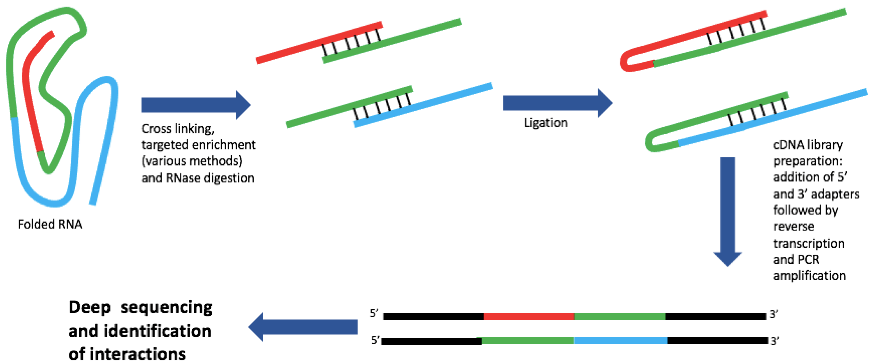 Viruses 13 02130 g003