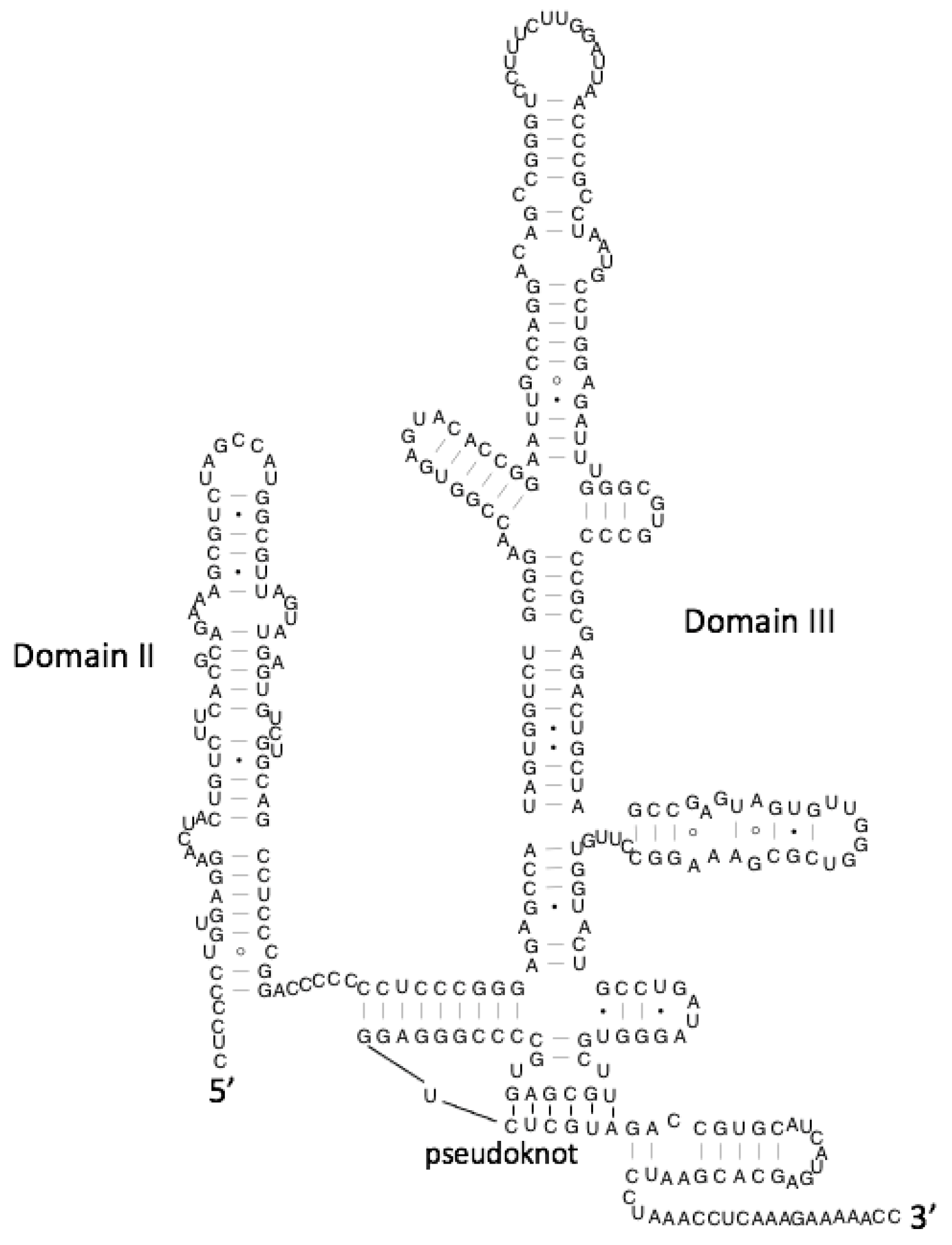 Viruses 13 02130 g005