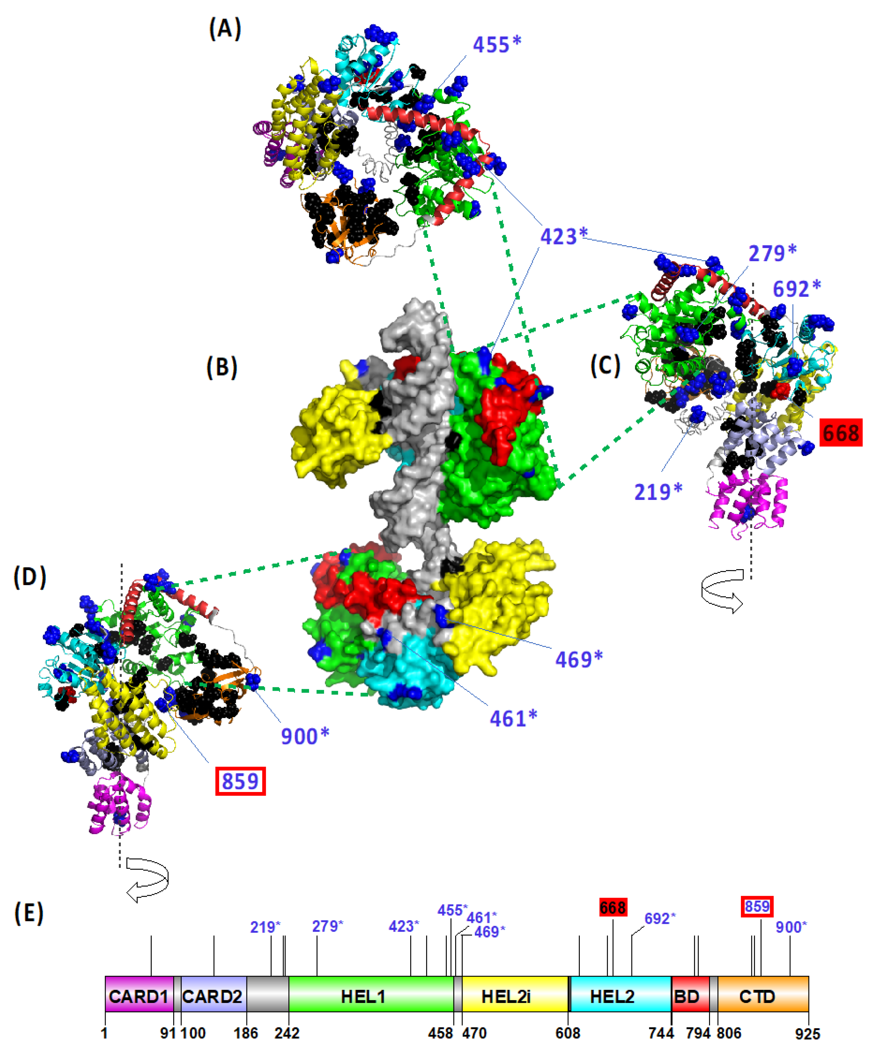 Viruses 13 02131 g004 550