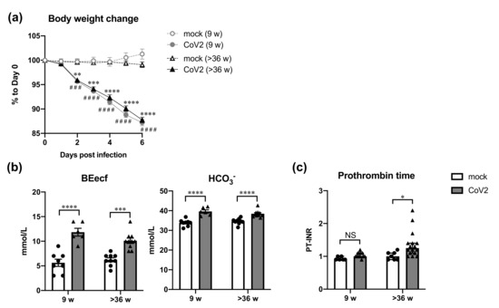 Calculate hamster age in human years (equivalence)