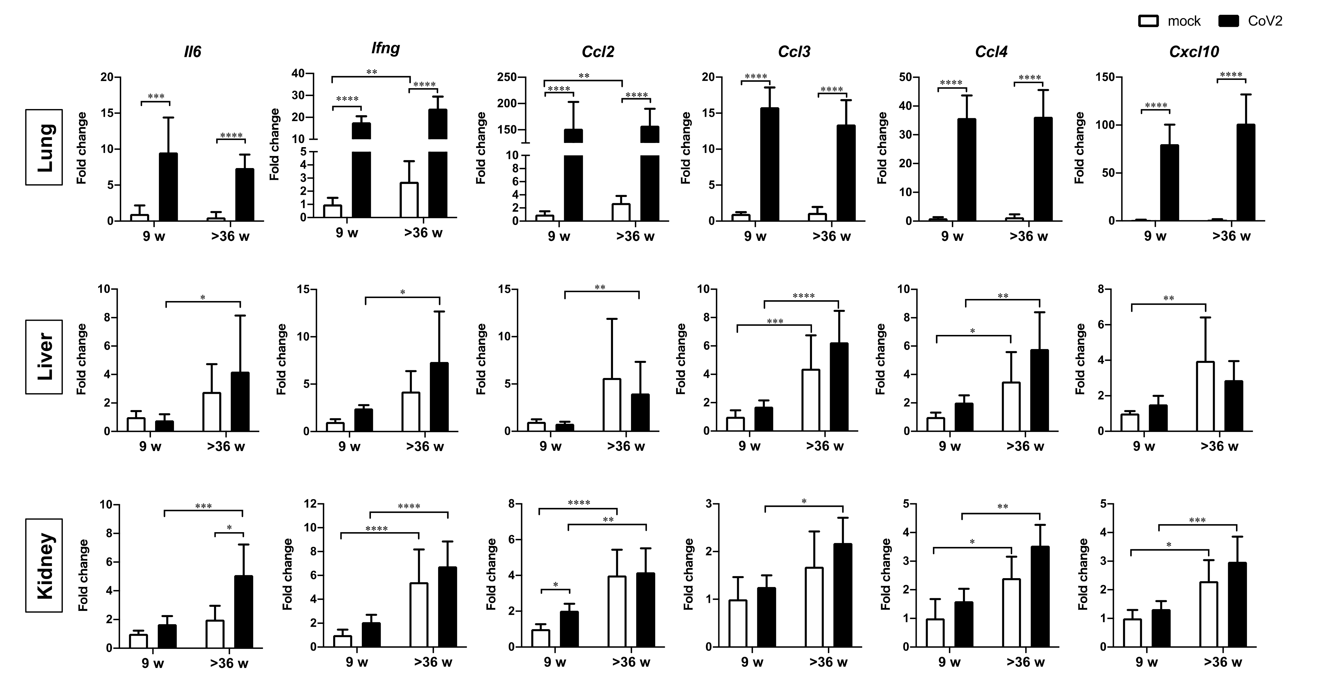 Viruses 13 02137 g003 550