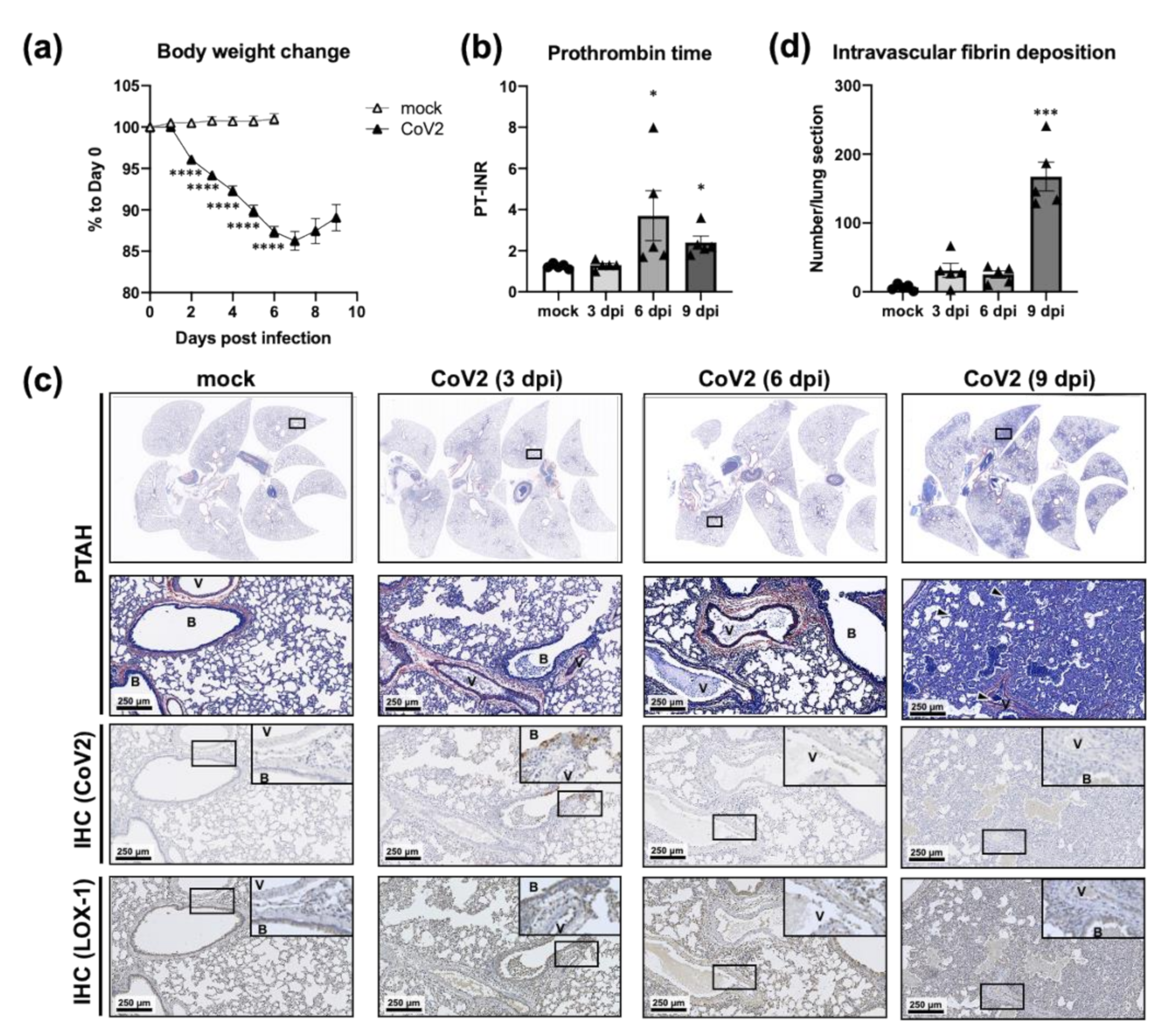 Viruses 13 02137 g006 550