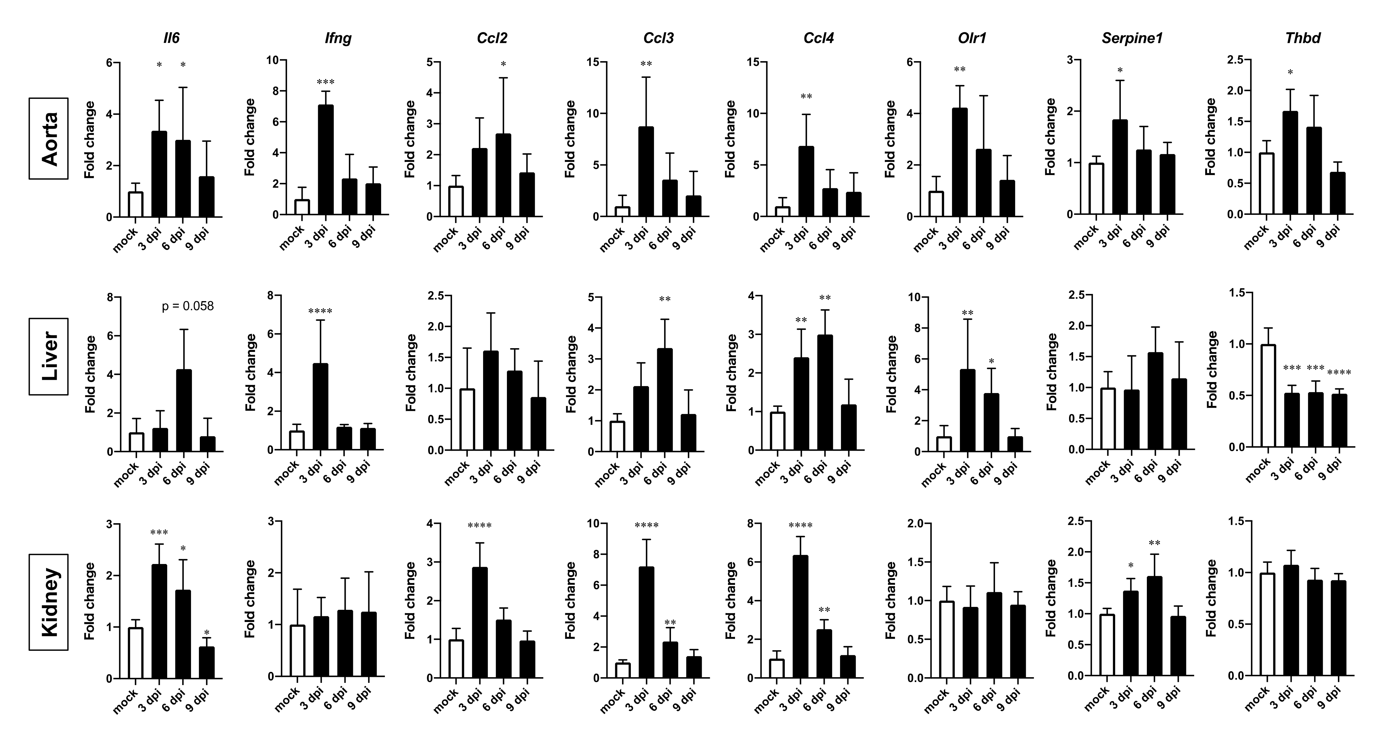 Viruses 13 02137 g007 550