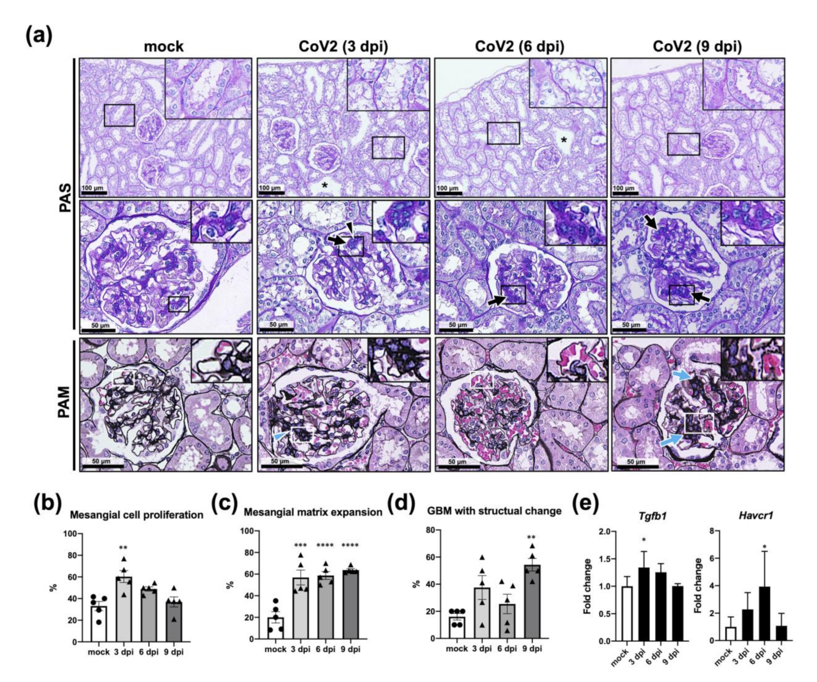 Viruses 13 02137 g008 550