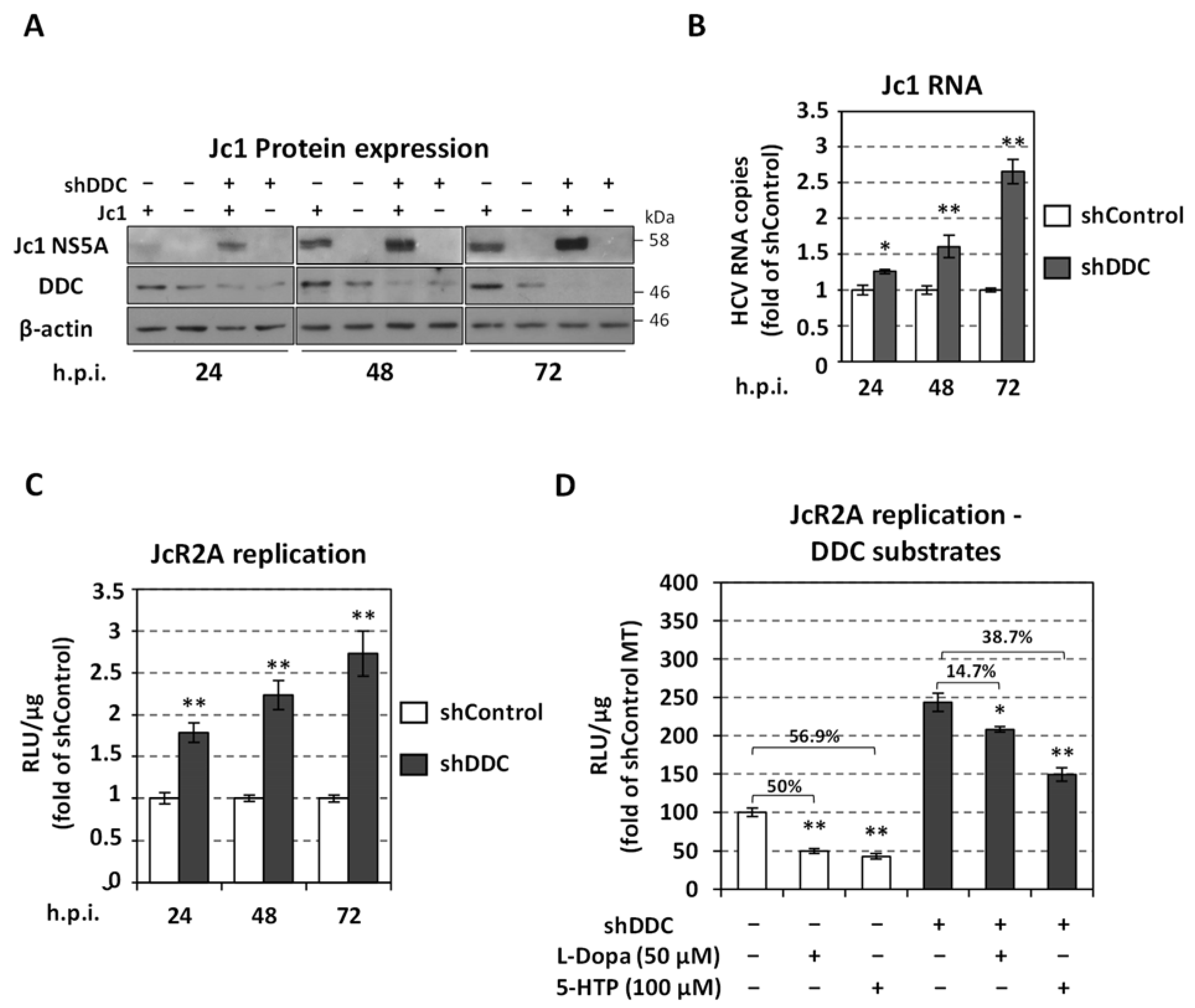 Viruses 13 02139 g001 Viruses 13 02139 g001