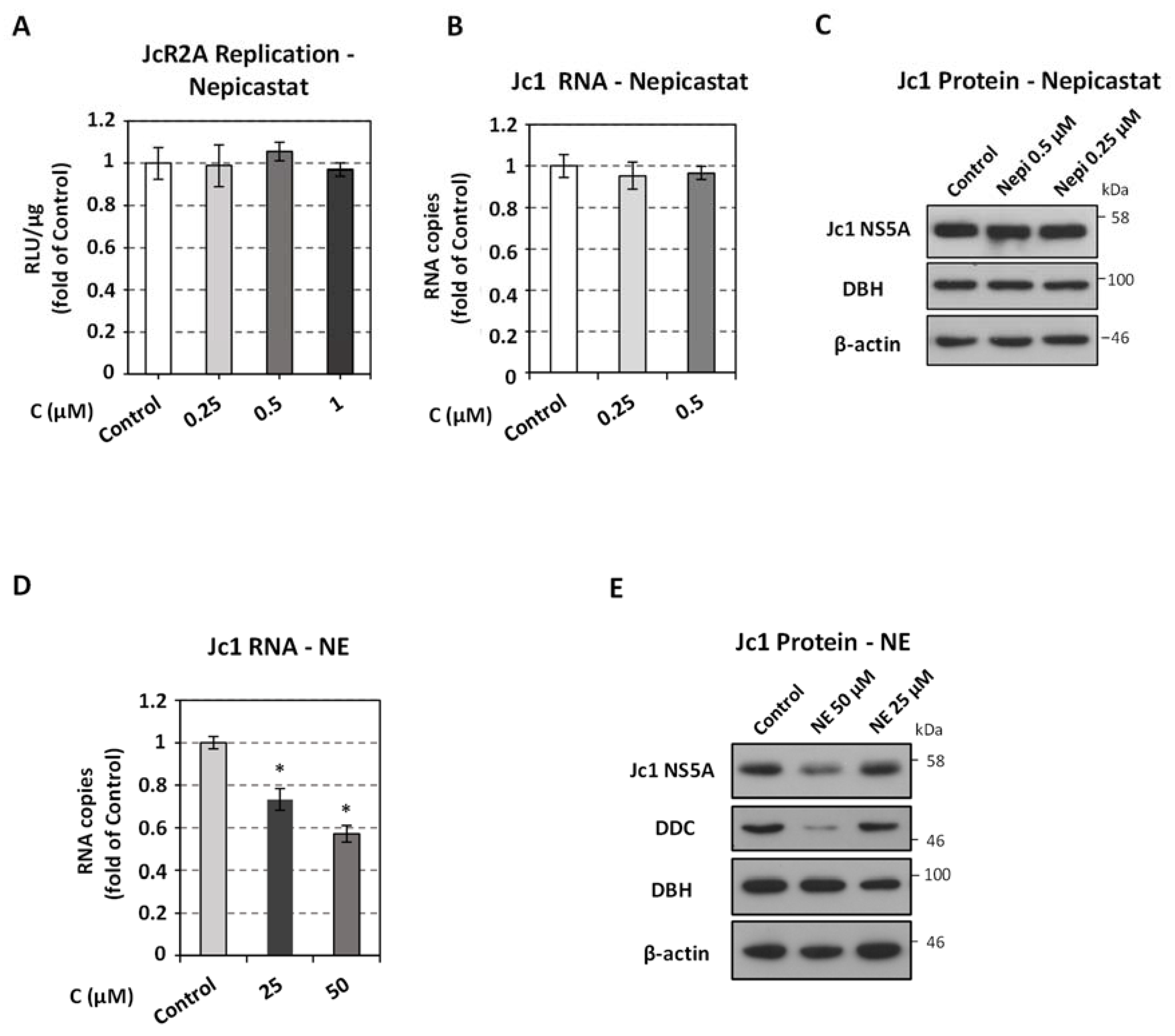 Viruses 13 02139 g004 Viruses 13 02139 g004