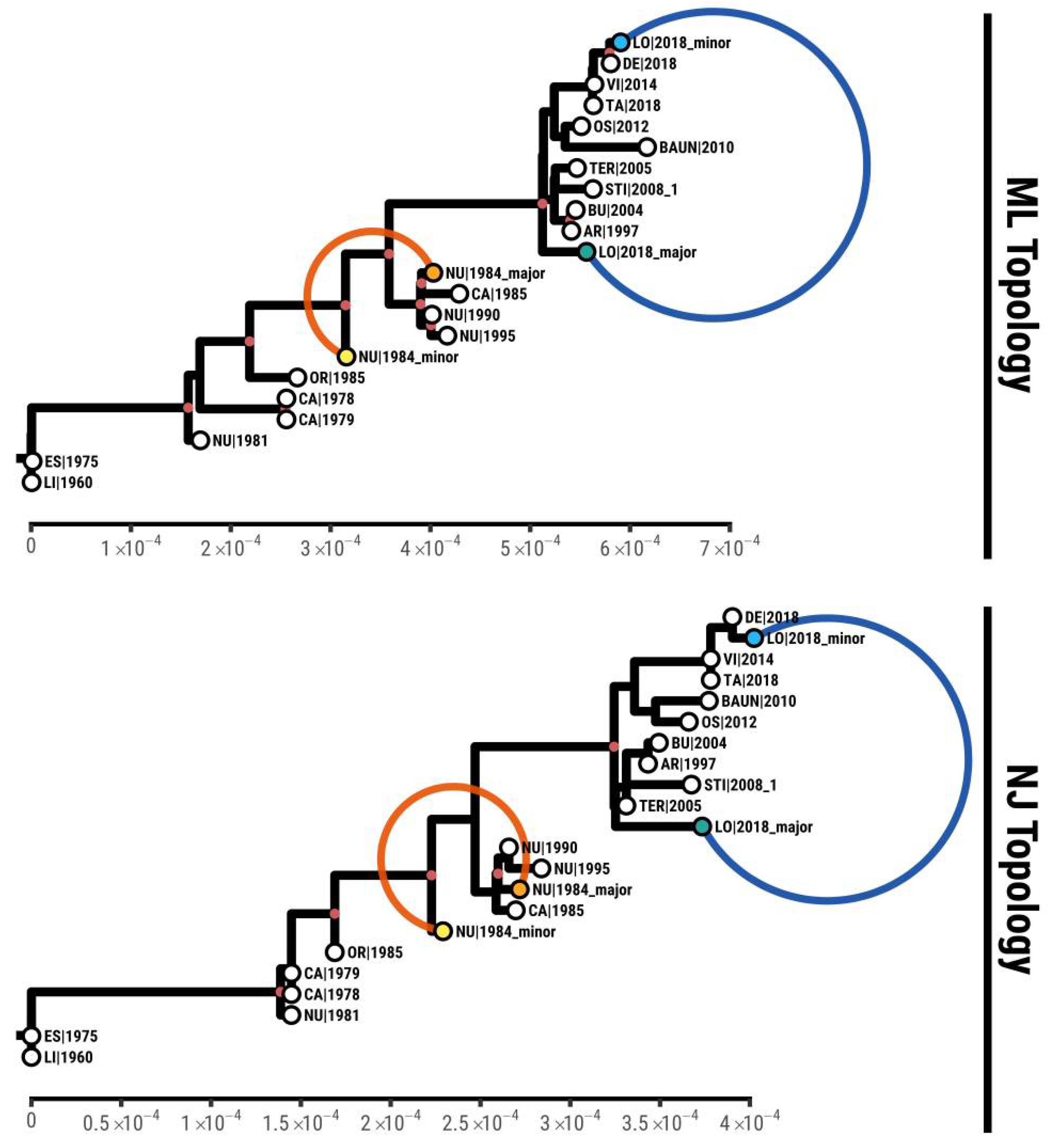 Viruses 13 02145 g002 Viruses 13 02145 g002