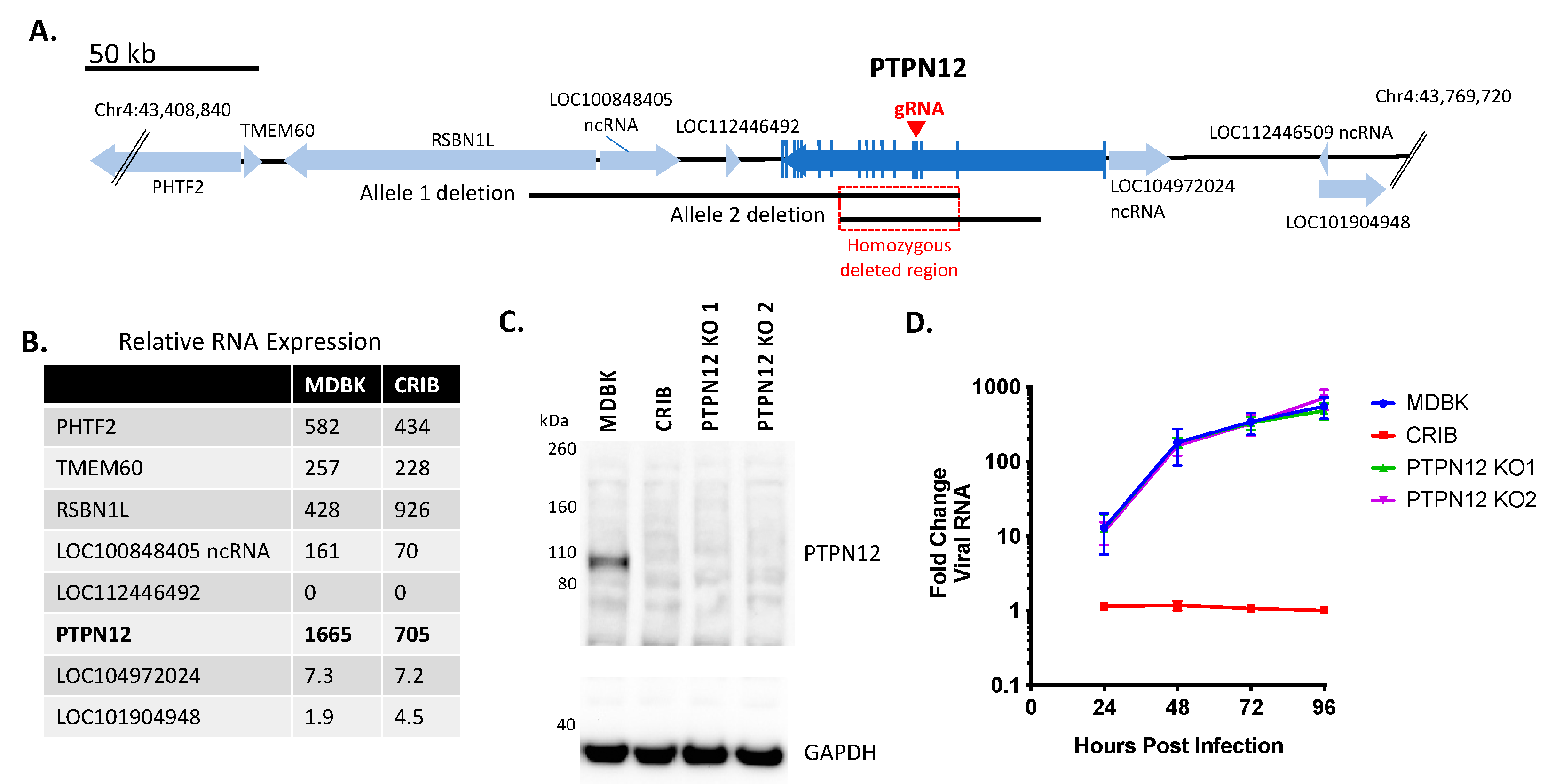 Viruses 13 02147 g002