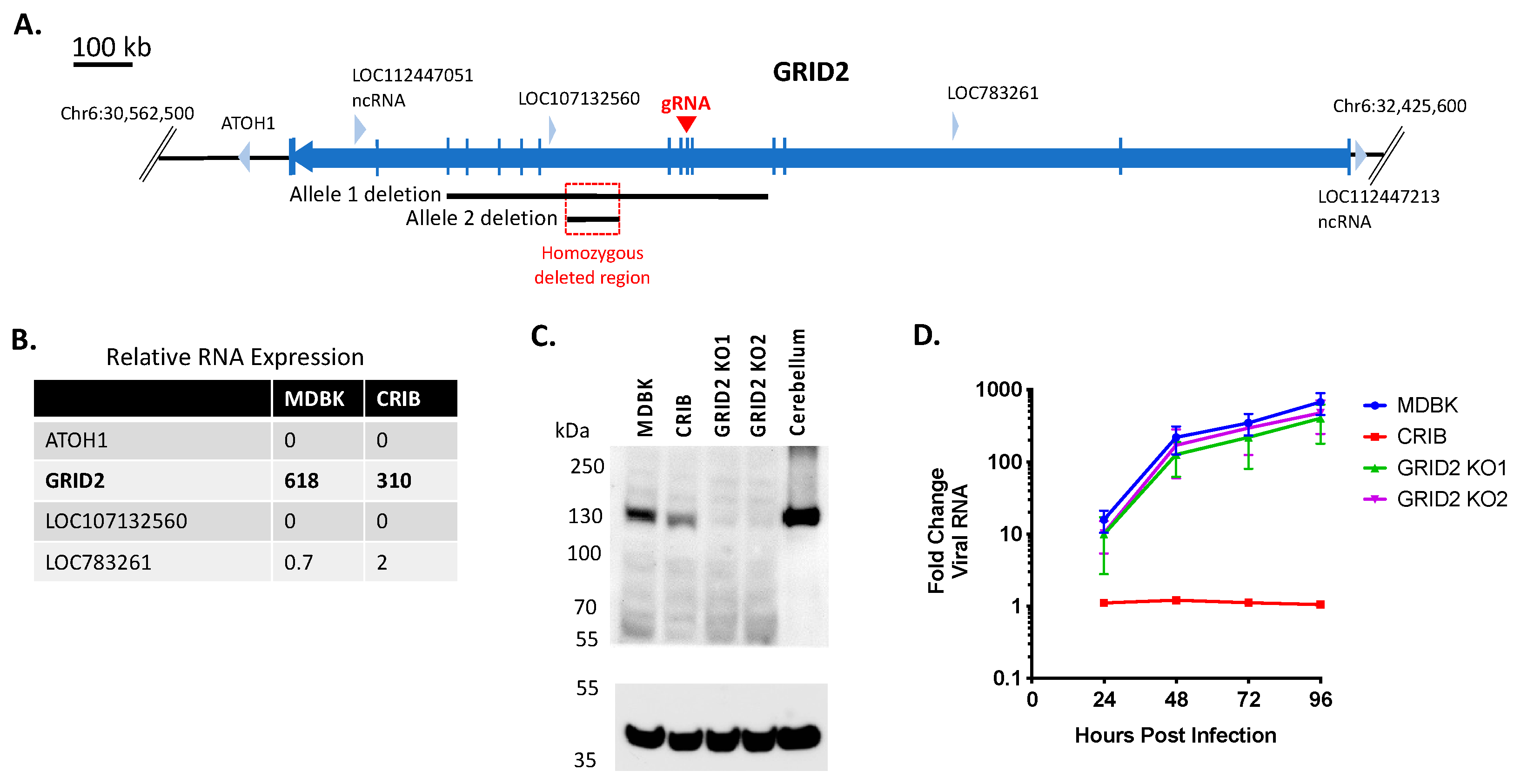 Viruses 13 02147 g003