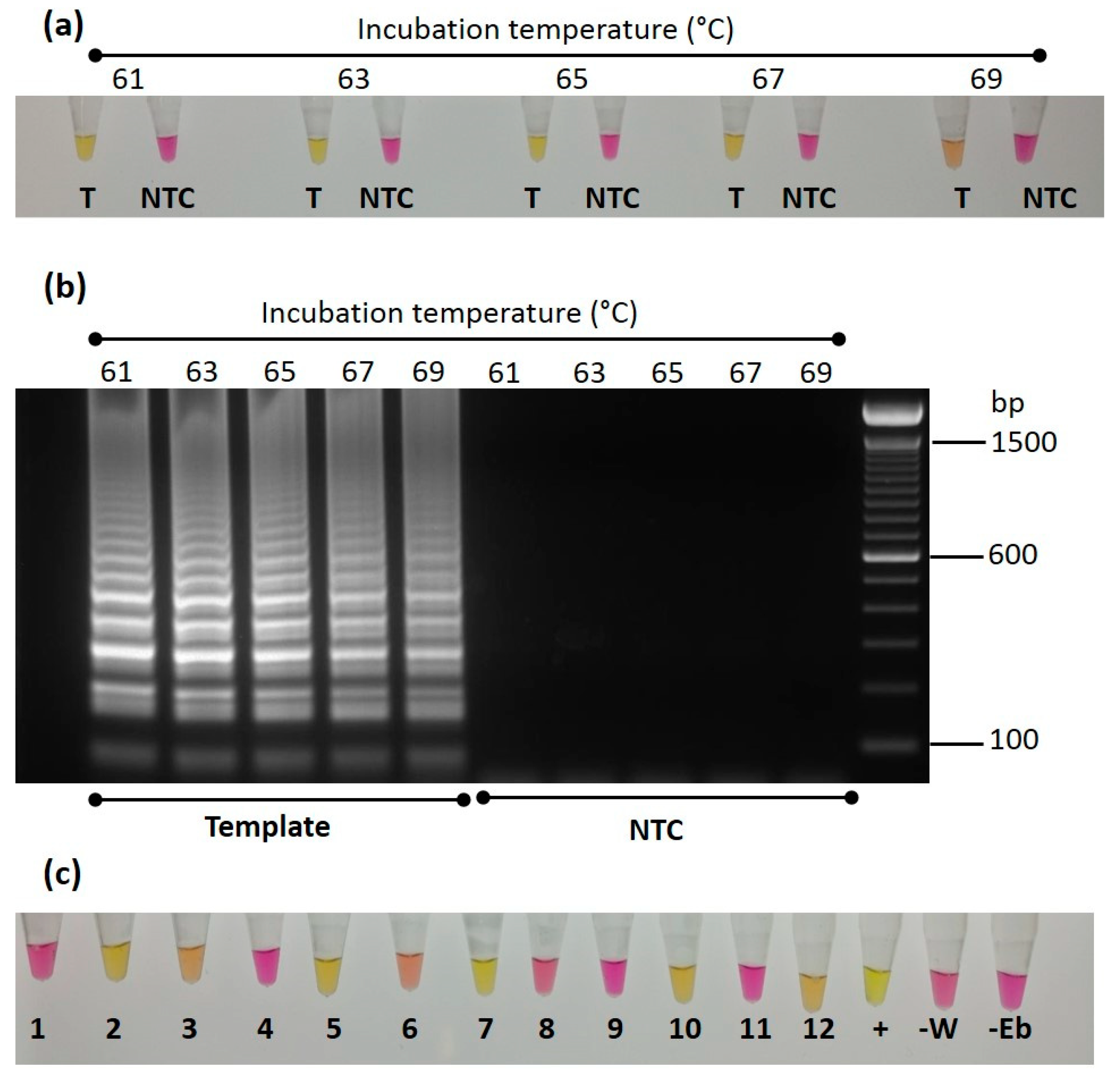 Viruses 13 02152 g005 550