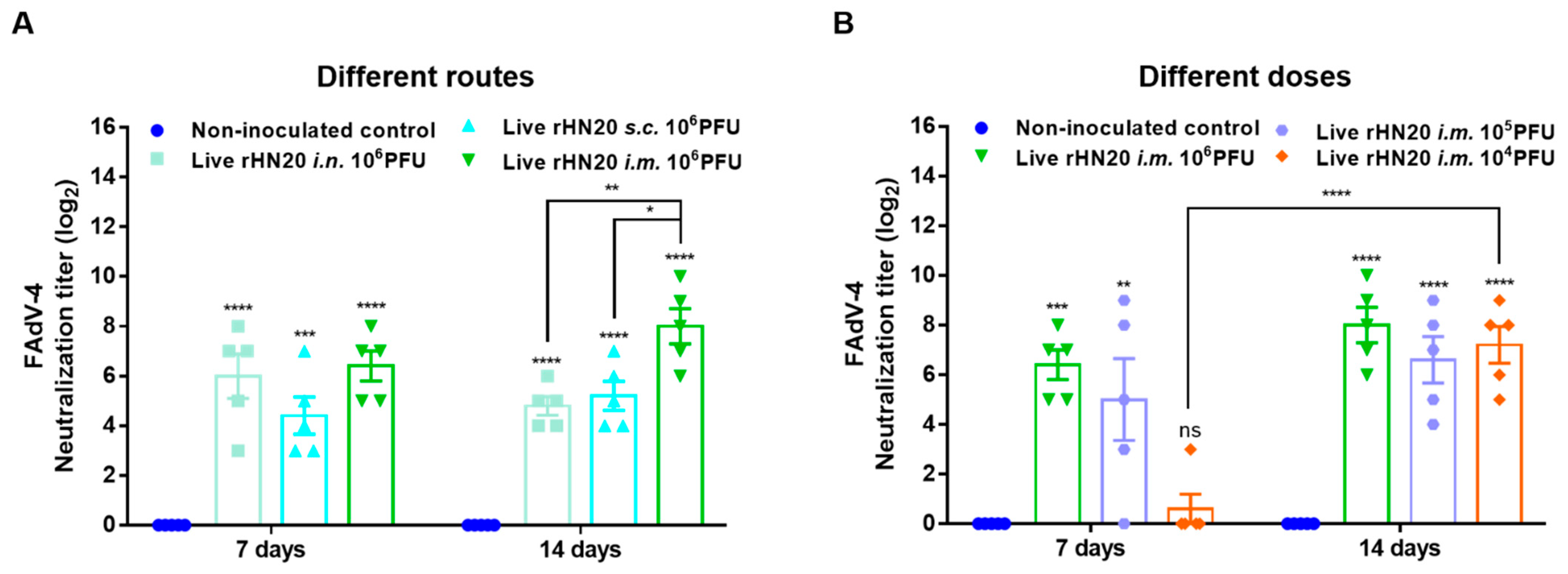 Viruses 13 02153 g002