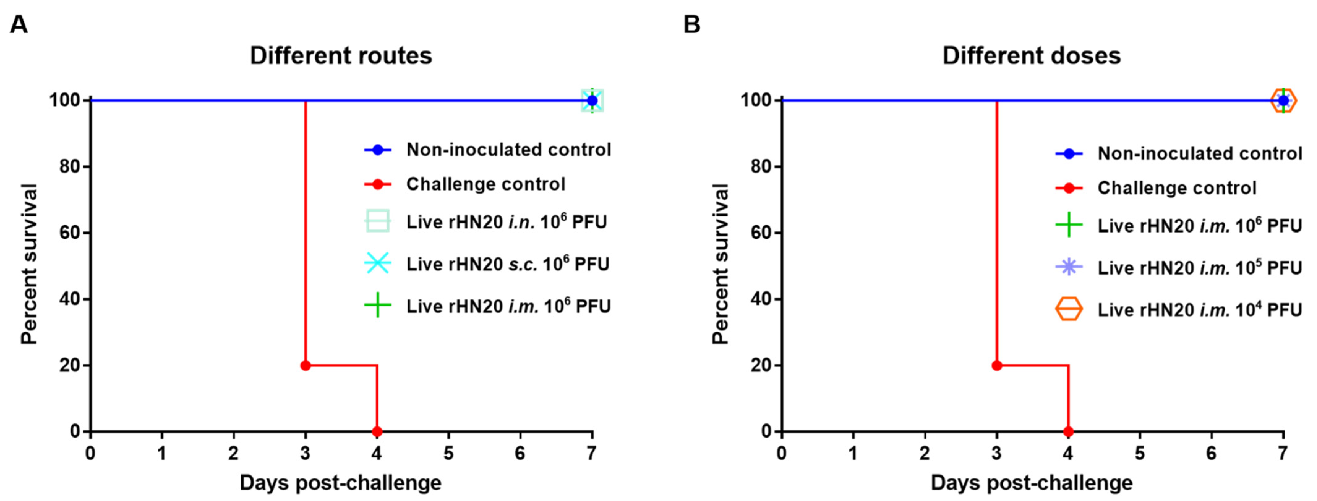 Viruses 13 02153 g003