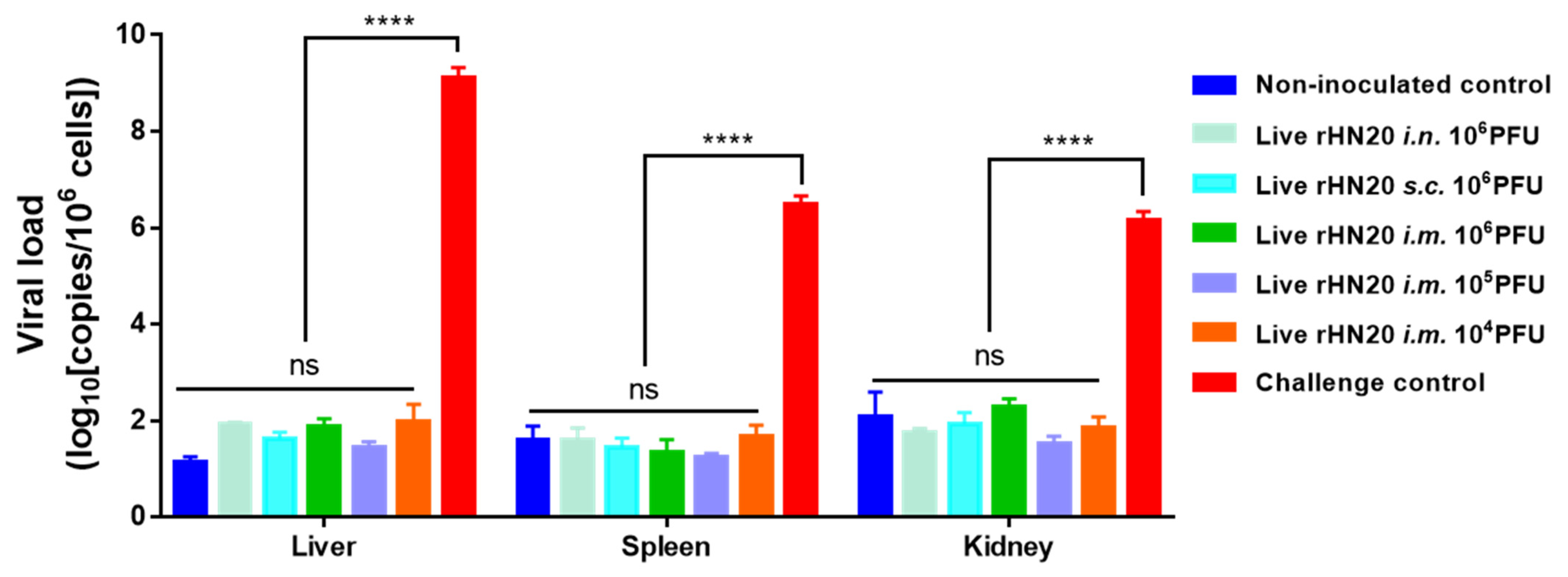 Viruses 13 02153 g004