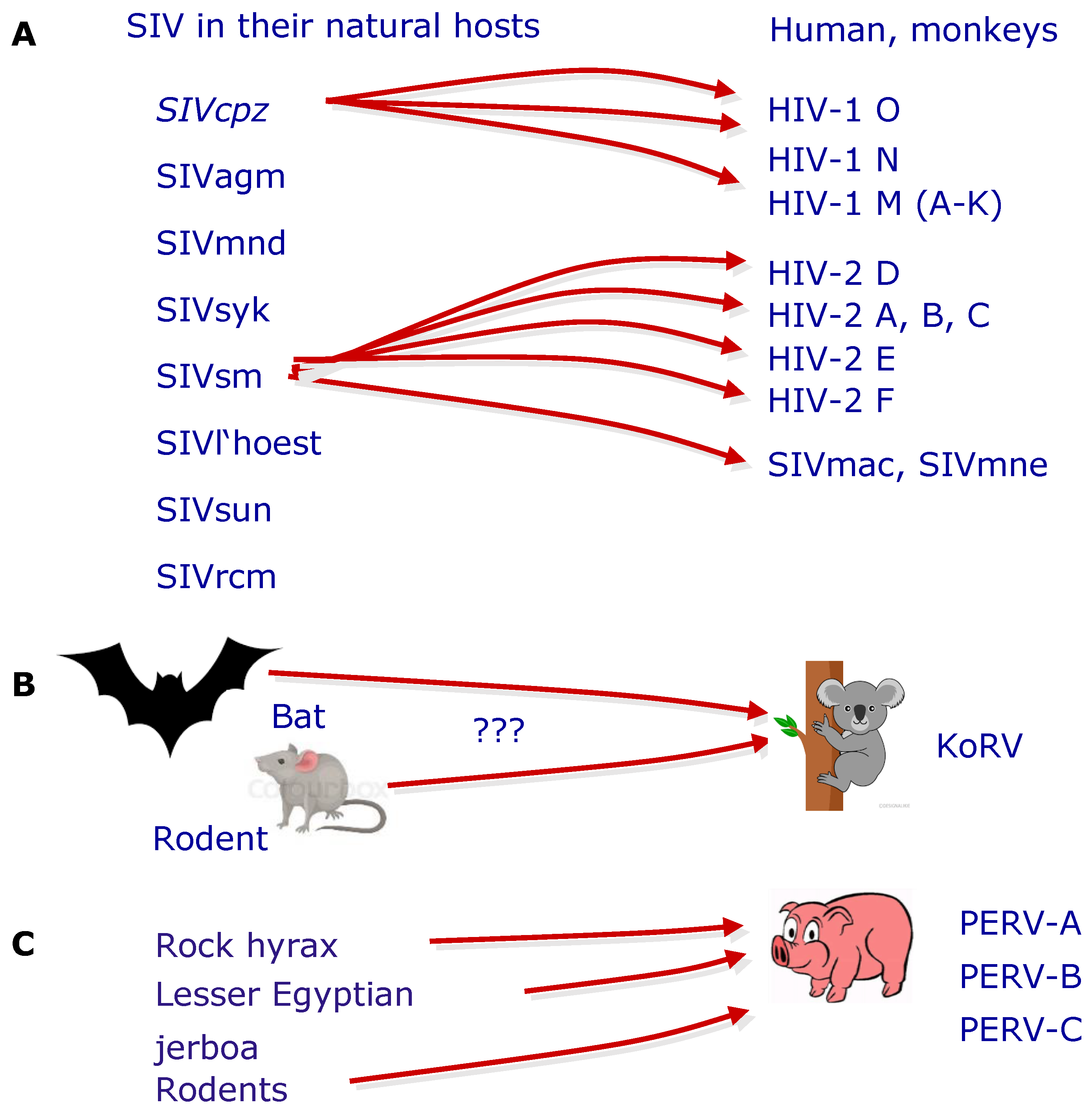 Viruses Free FullText Porcine Endogenous Retroviruses and