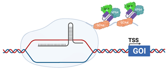 Viruses 13 02157 i006