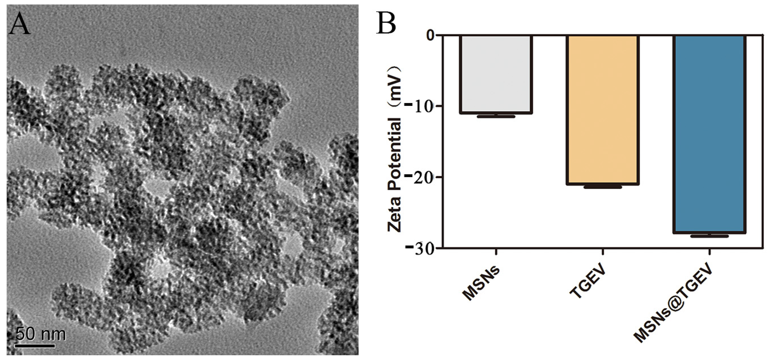 Viruses 13 02158 g001 Viruses 13 02158 g001