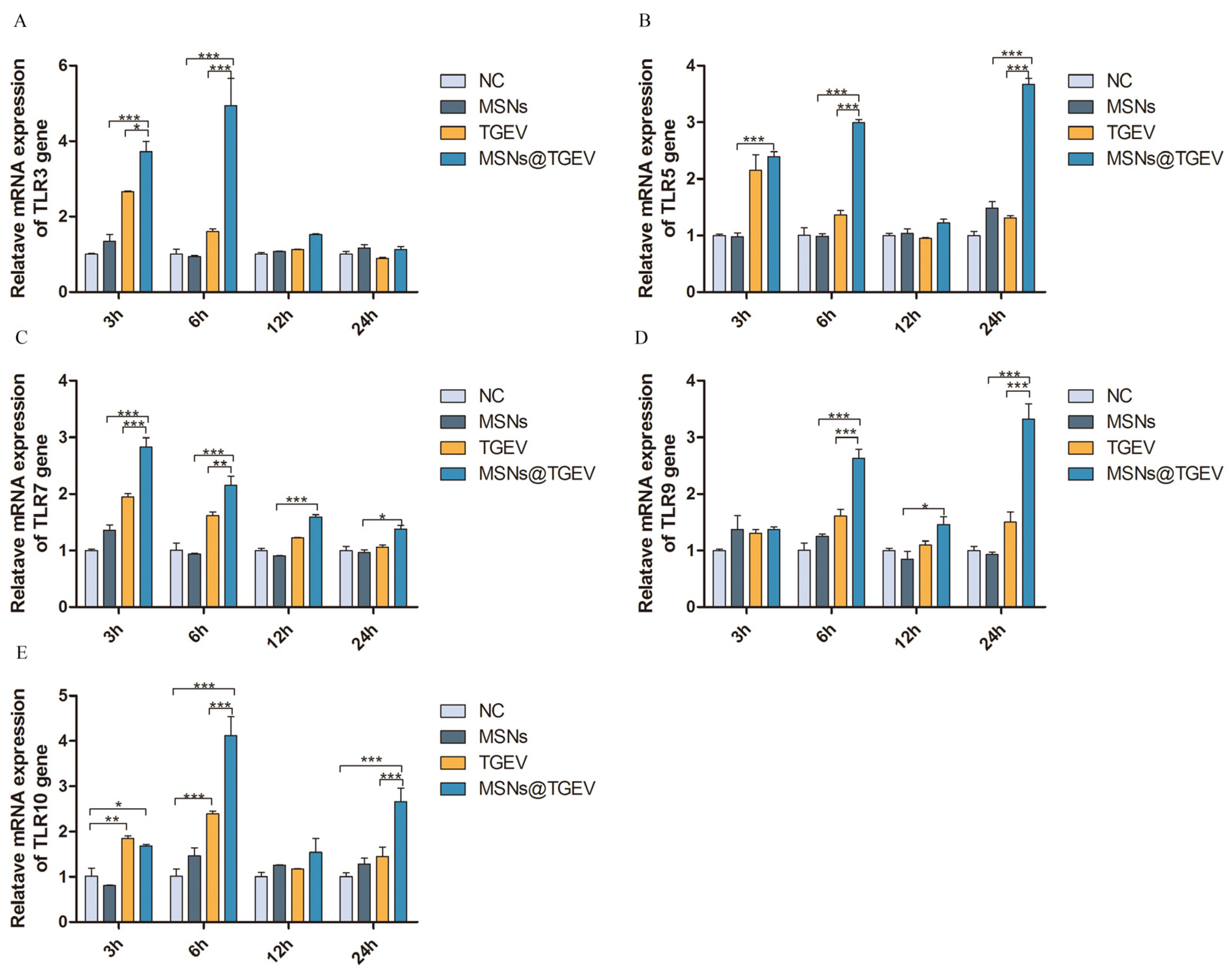 Viruses 13 02158 g005 Viruses 13 02158 g005
