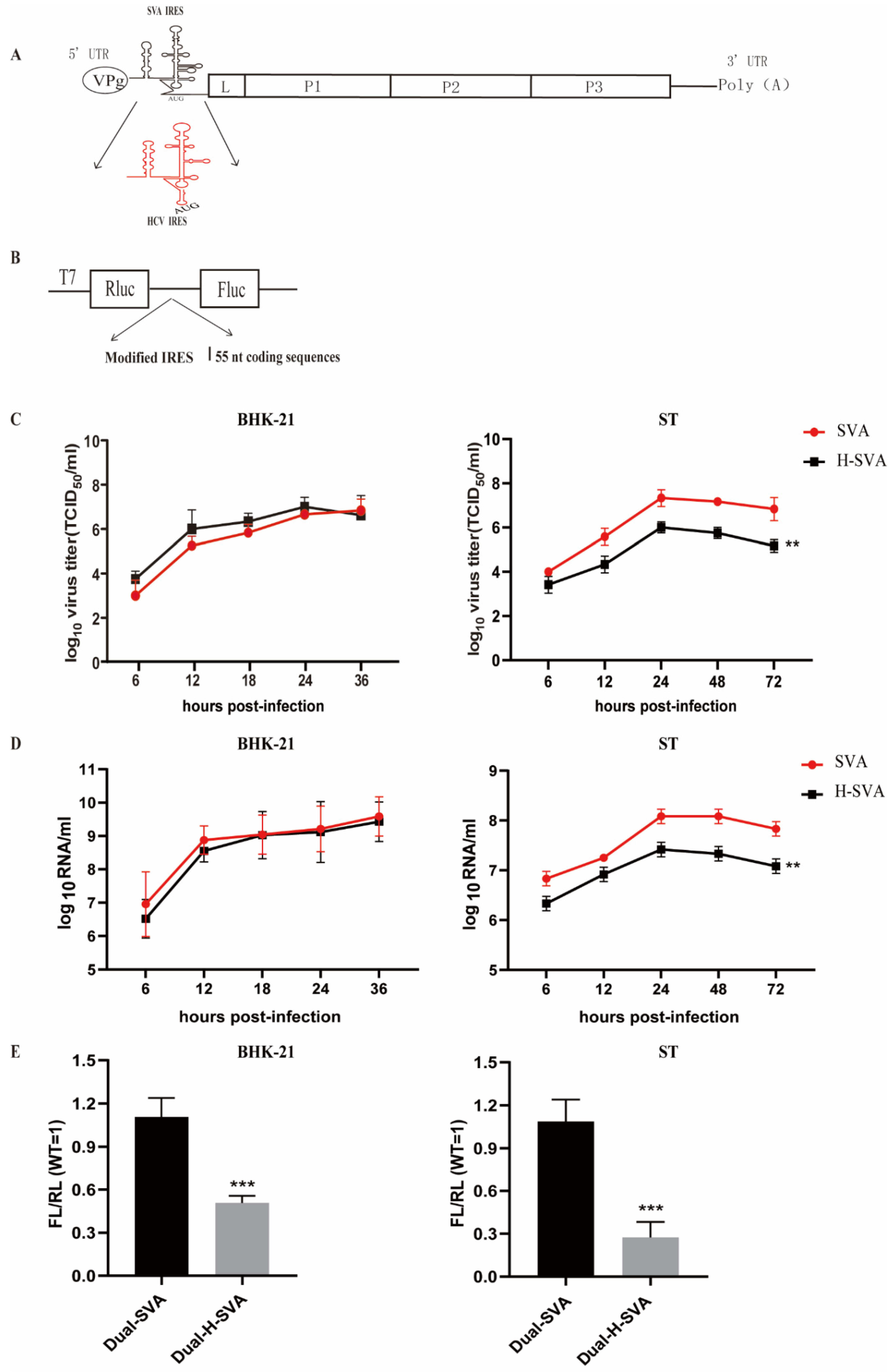 Viruses 13 02159 g001 Viruses 13 02159 g001