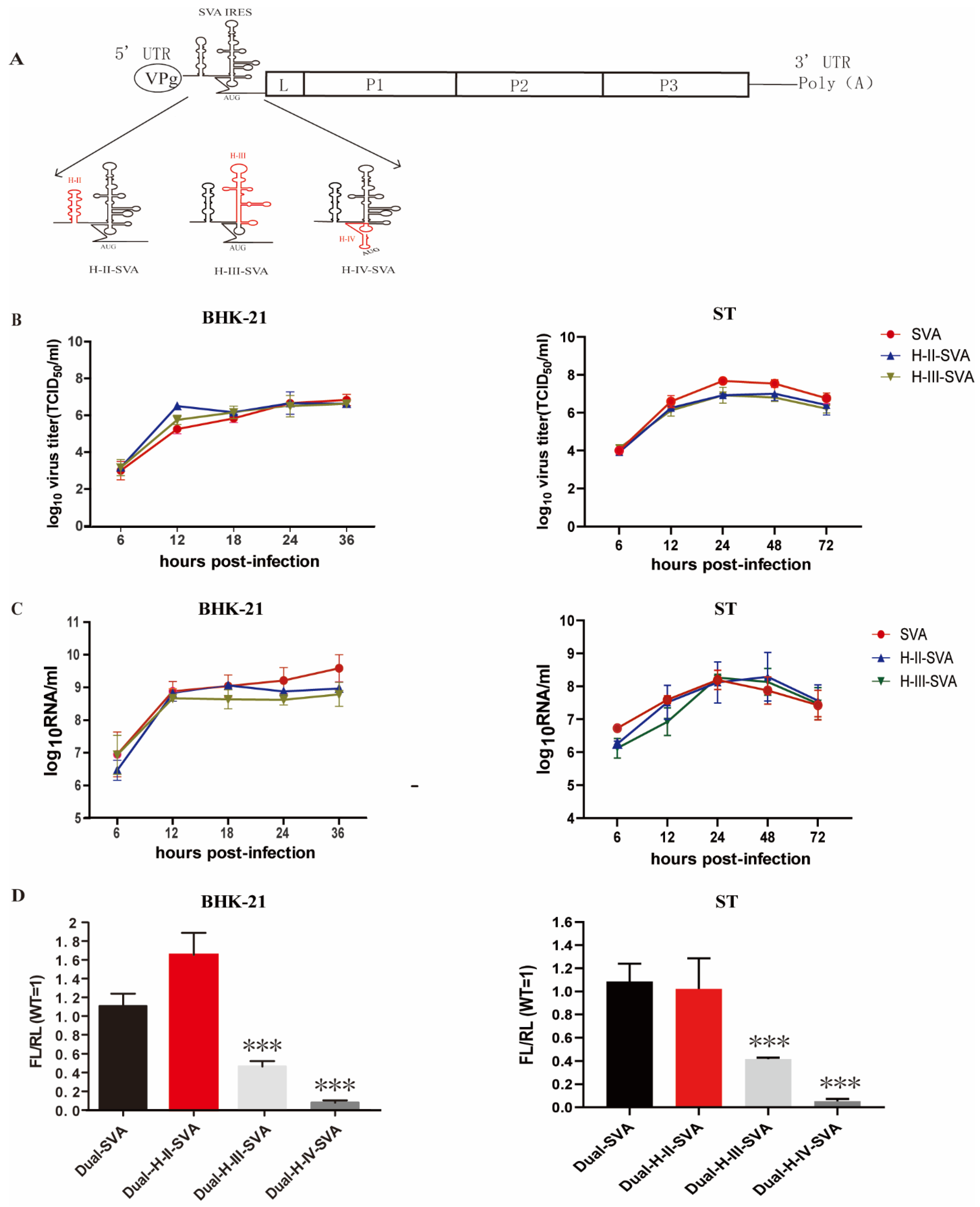 Viruses 13 02159 g002 Viruses 13 02159 g002