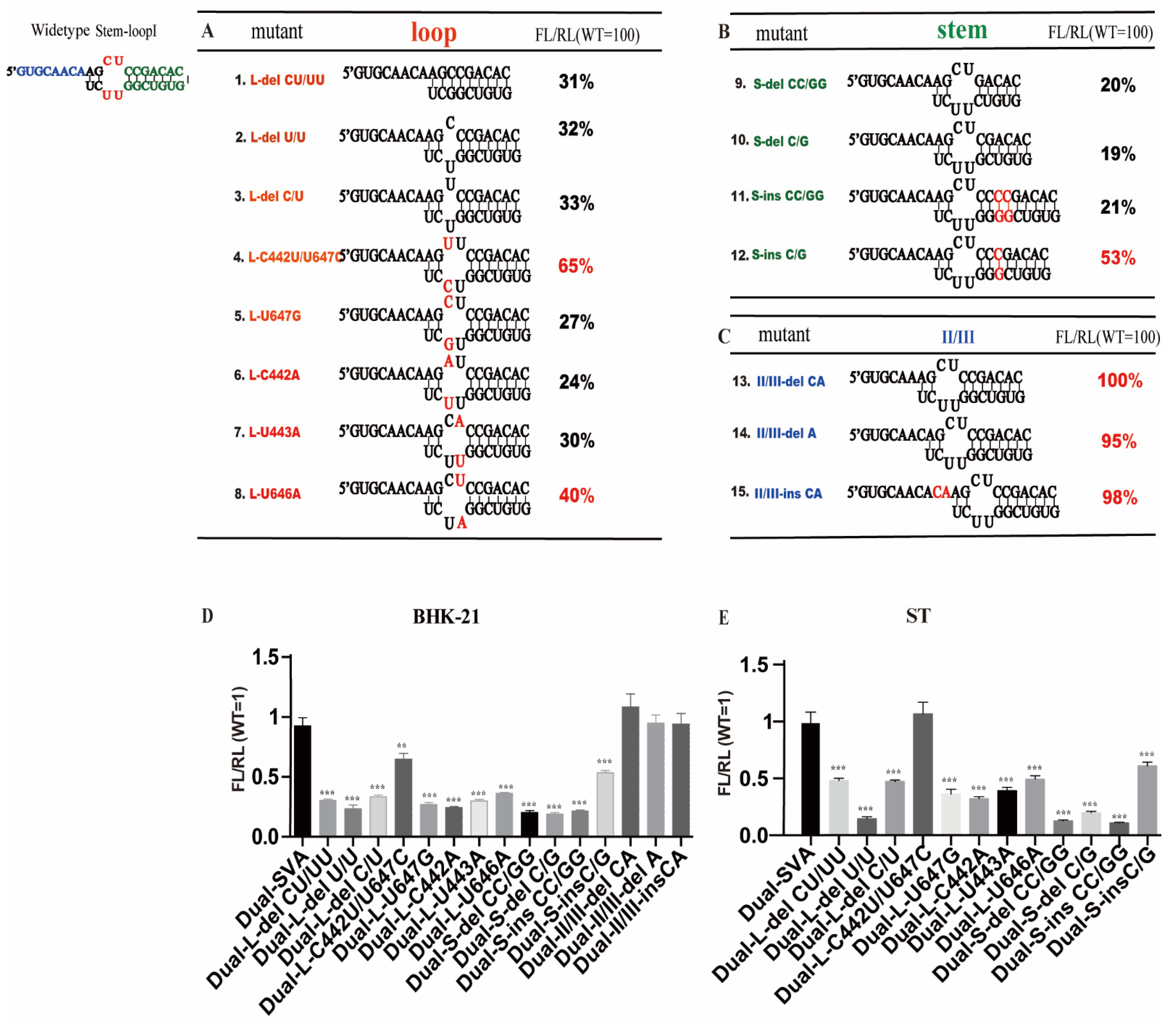 Viruses 13 02159 g004 Viruses 13 02159 g004