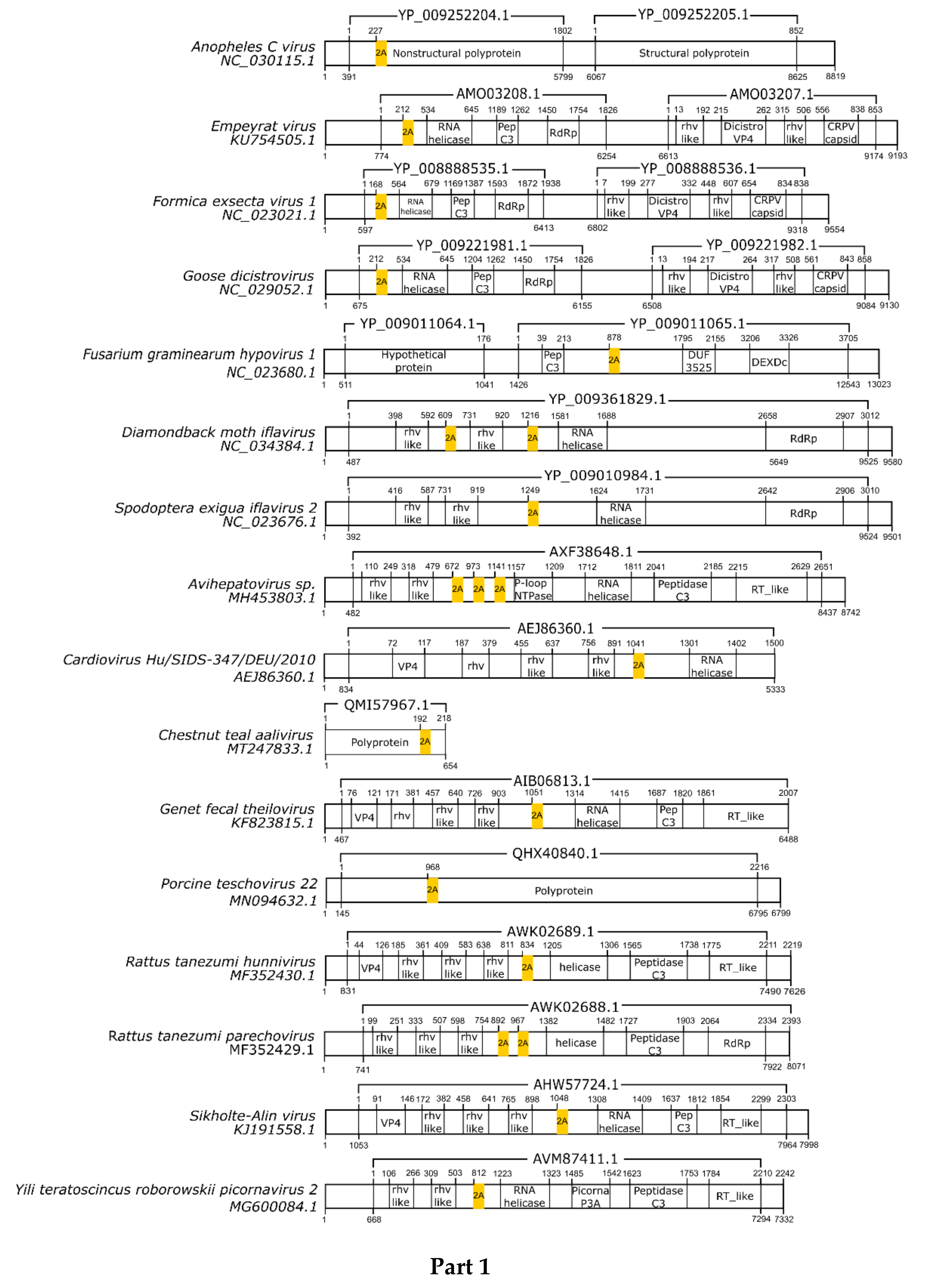 Viruses 13 02160 g001a