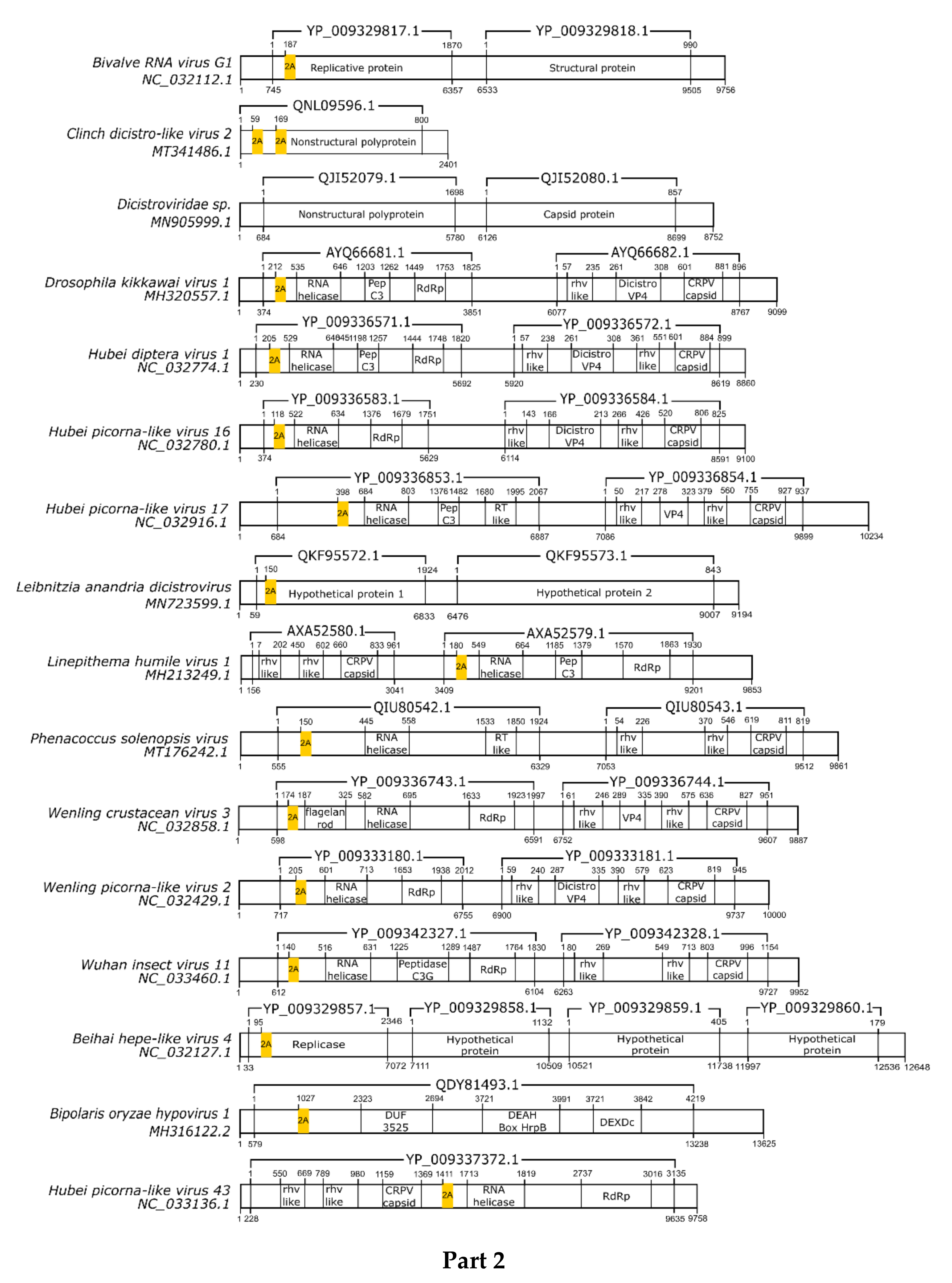 Viruses 13 02160 g001b