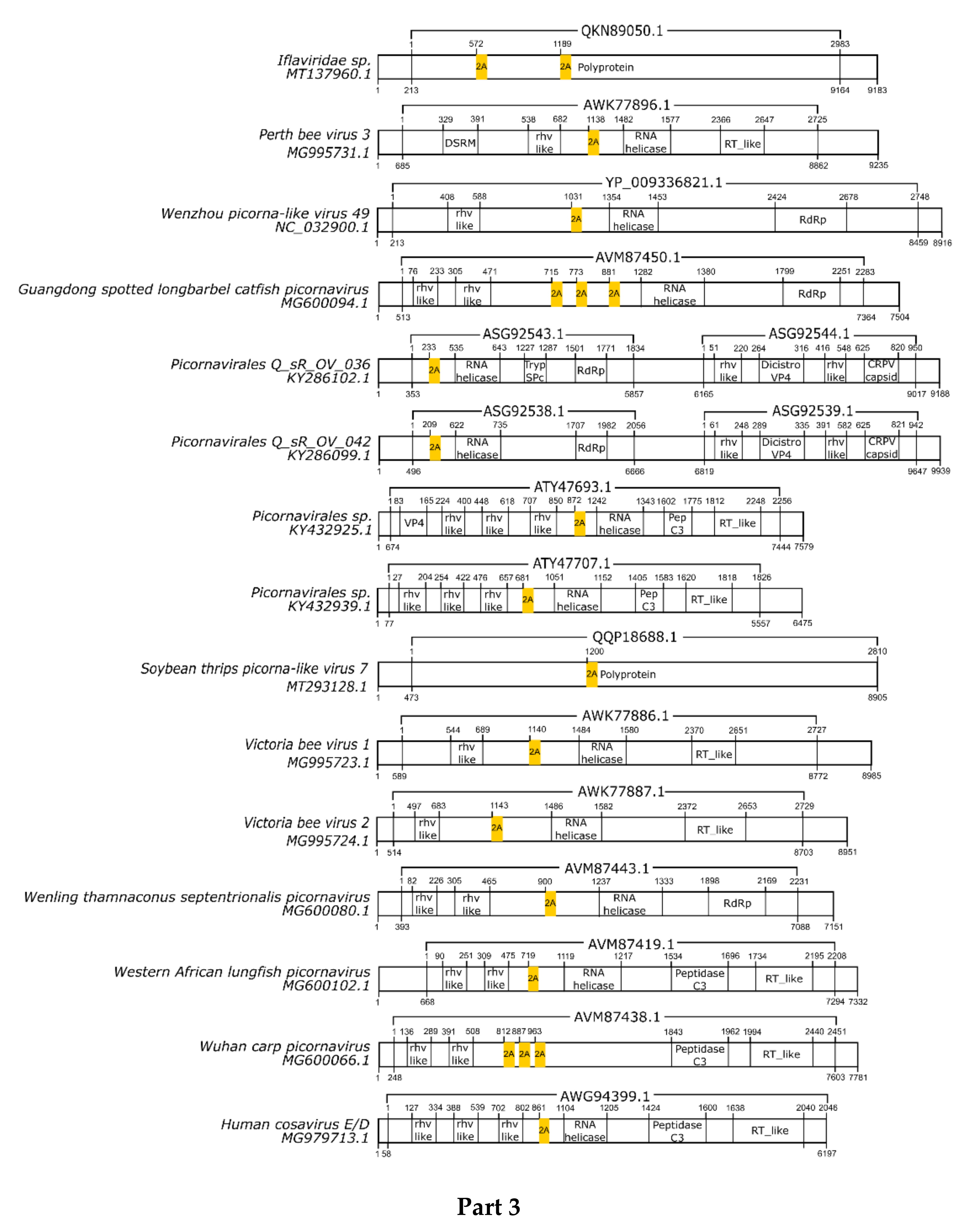 Viruses 13 02160 g001c