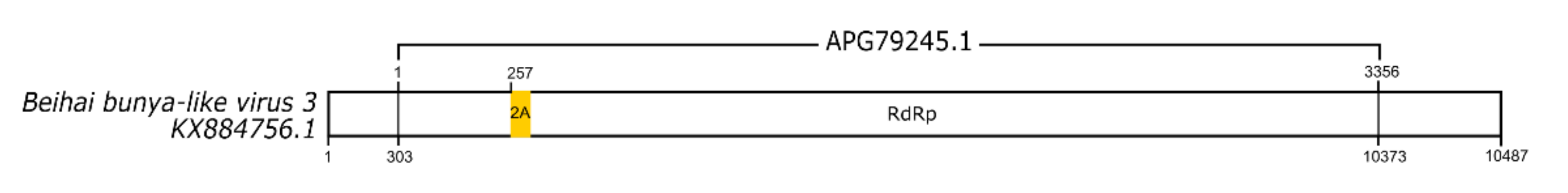 Viruses 13 02160 g003