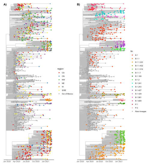 Genetic Analysis of SARS-CoV-2 Variants in Mexico during the First Year ...