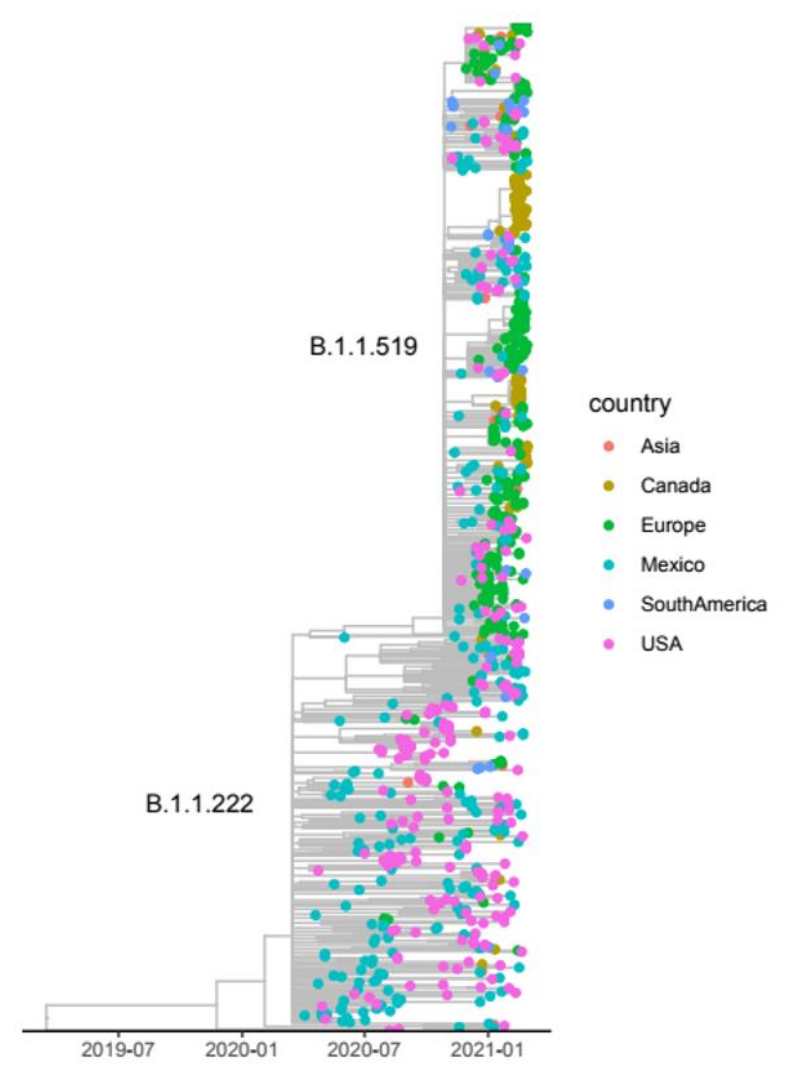 Viruses 13 02161 g008 550