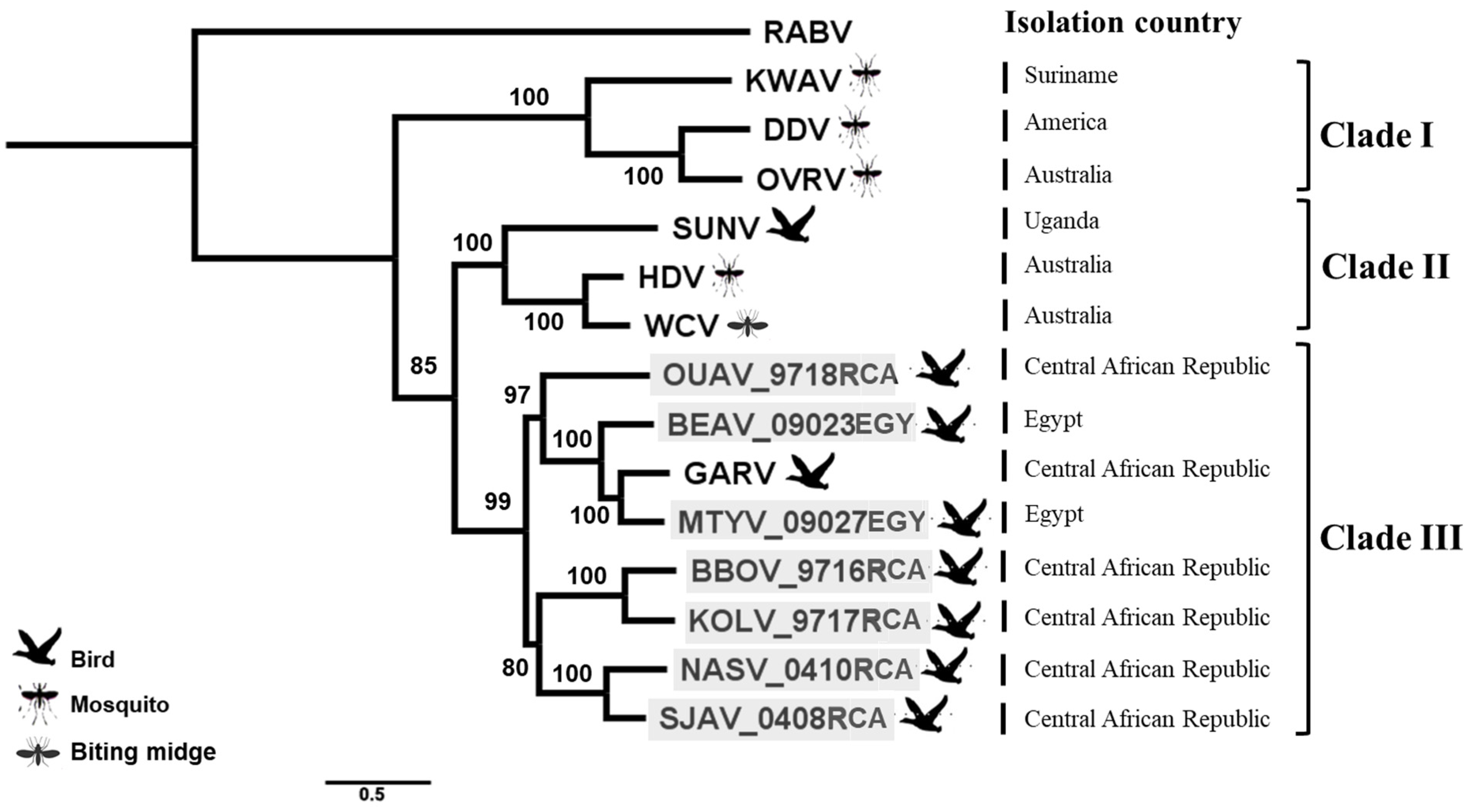 Viruses 13 02168 g003