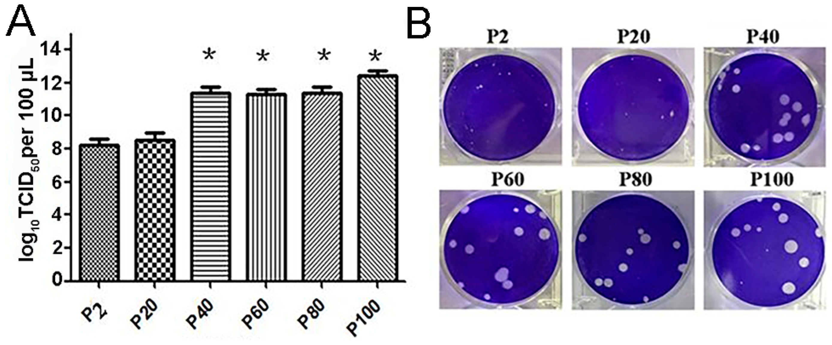 Viruses 13 02174 g002 550